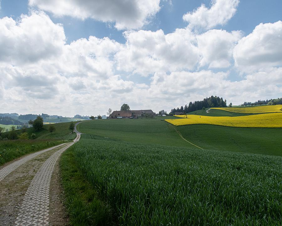 Höhenprofil anzeigen