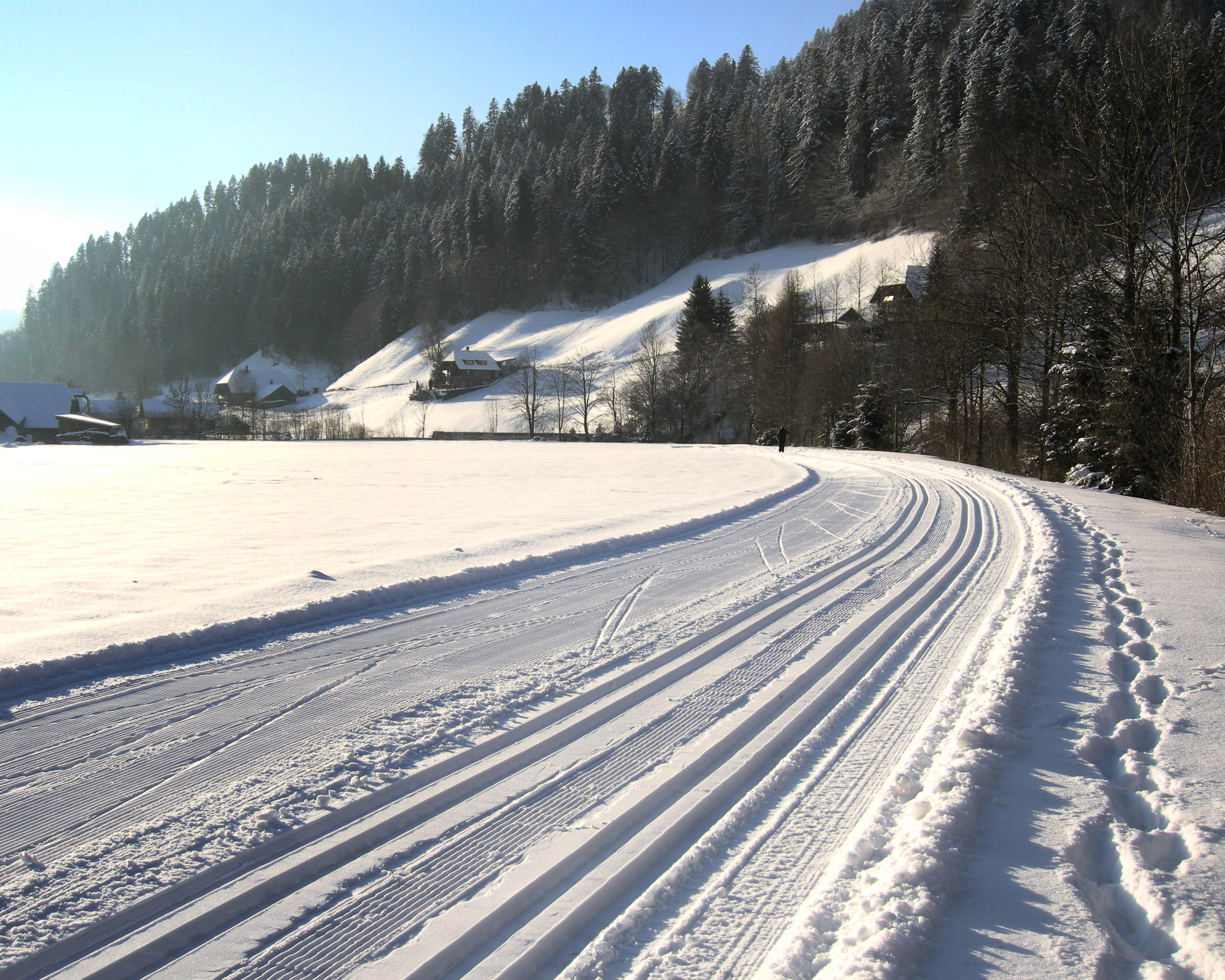 Loipe Langnau