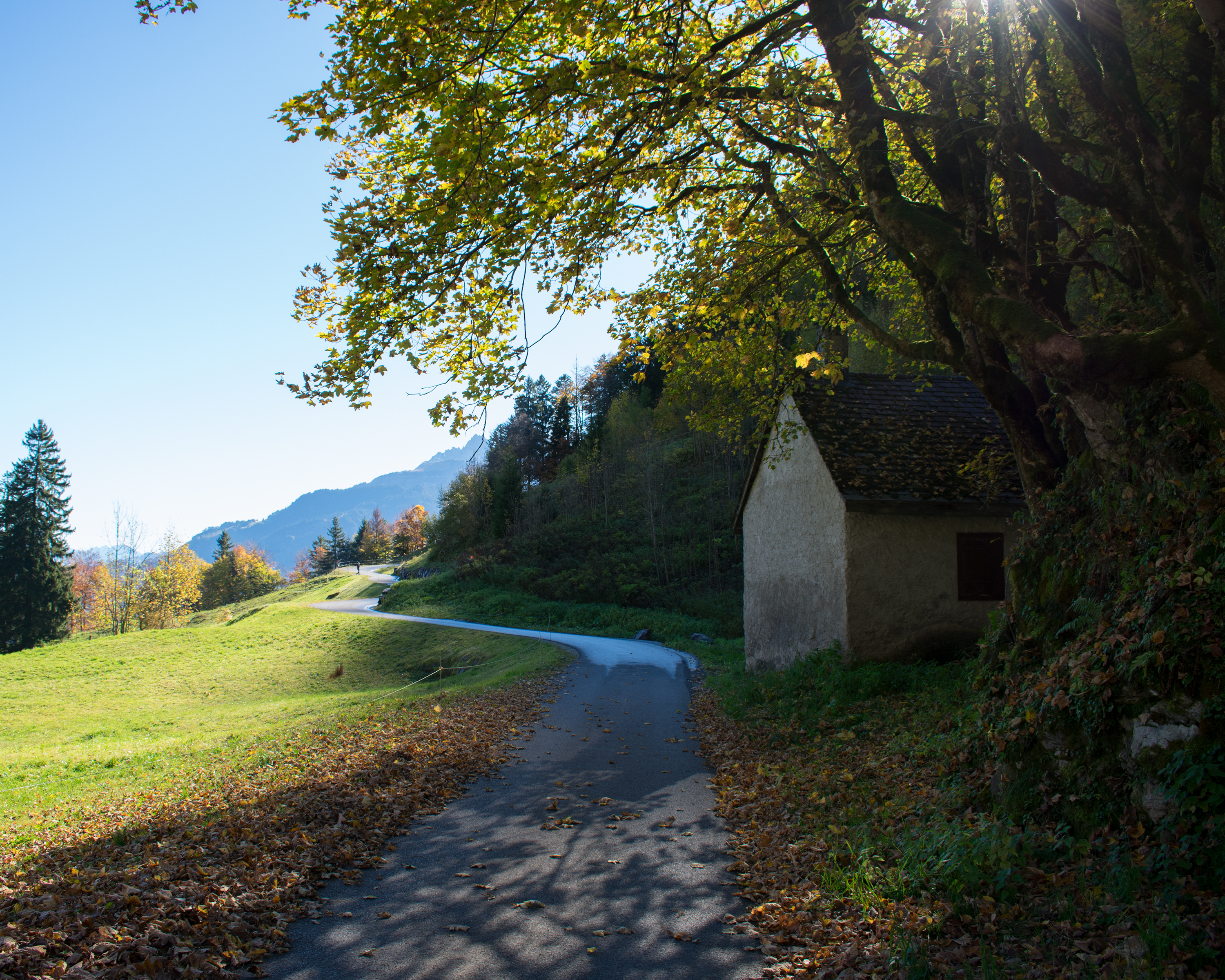 Panorama Bike, Stage 5/14