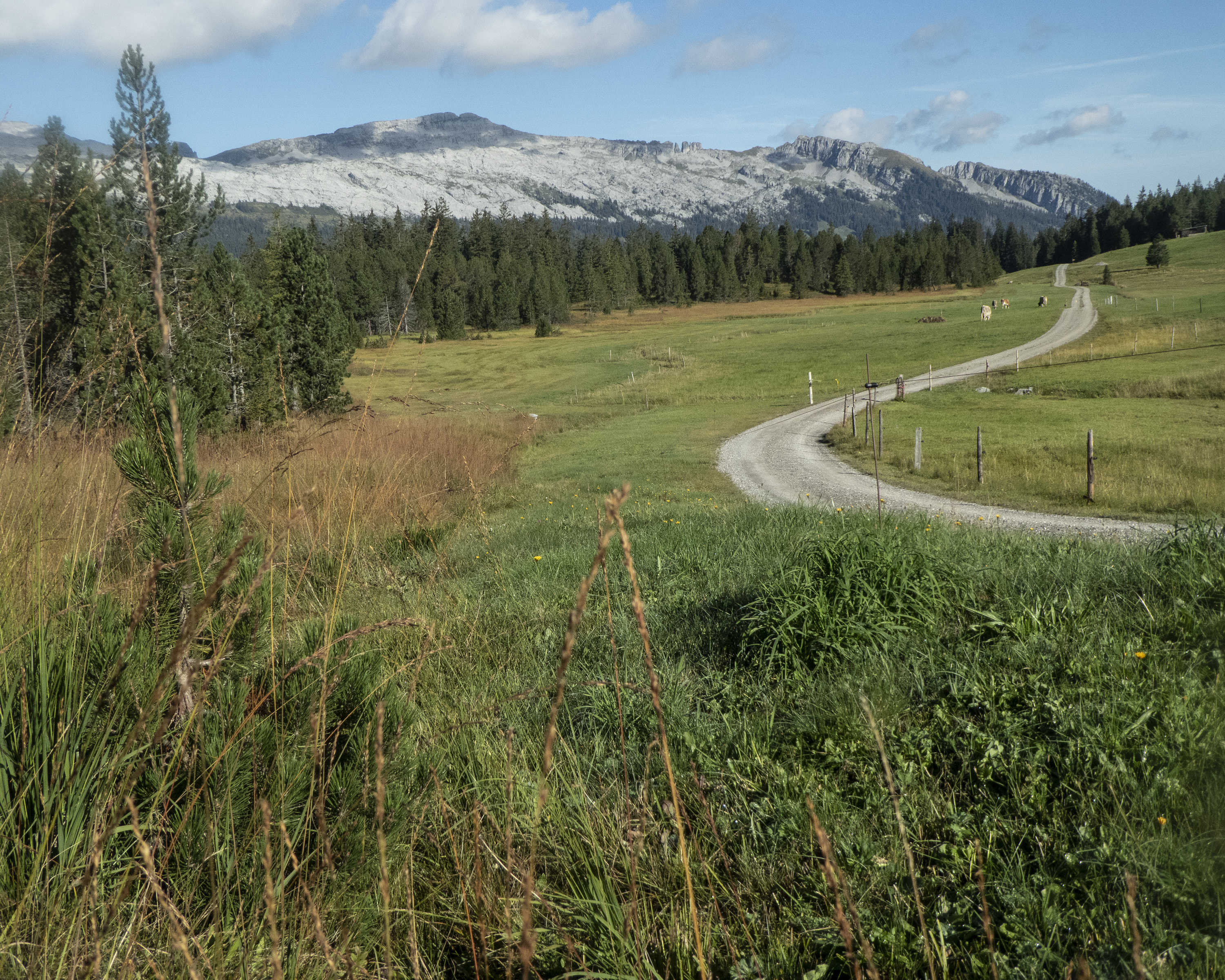 Panorama Bike, Etappe 9/14