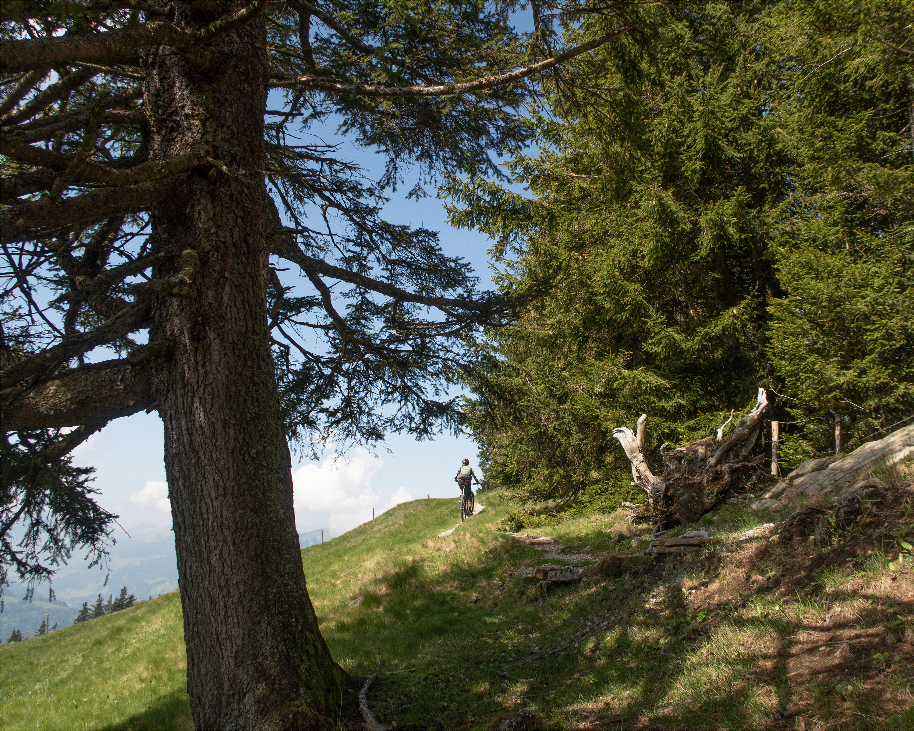 Panorama Bike, Etappe 11/14
