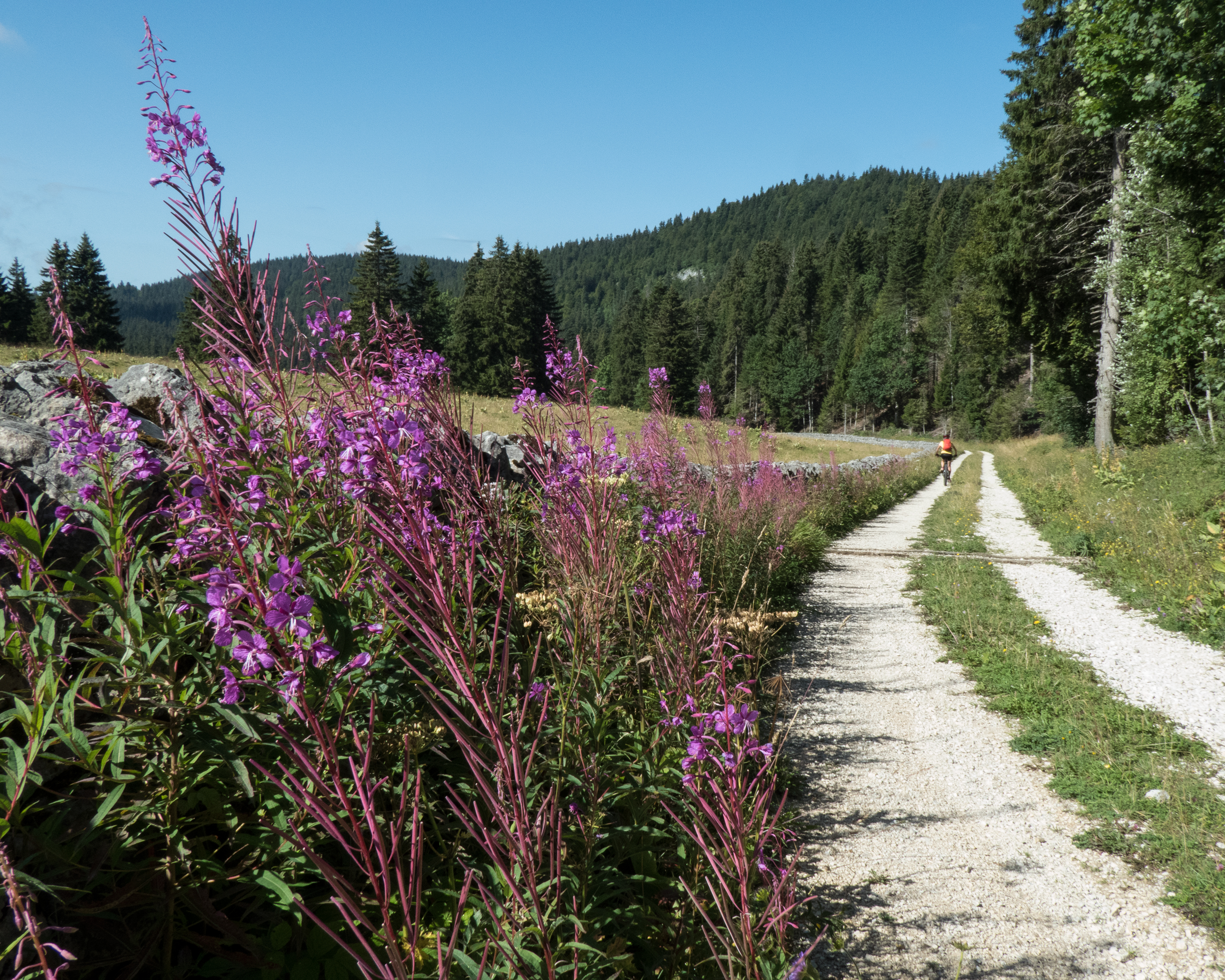 Jura Bike, Tappa 9/9
