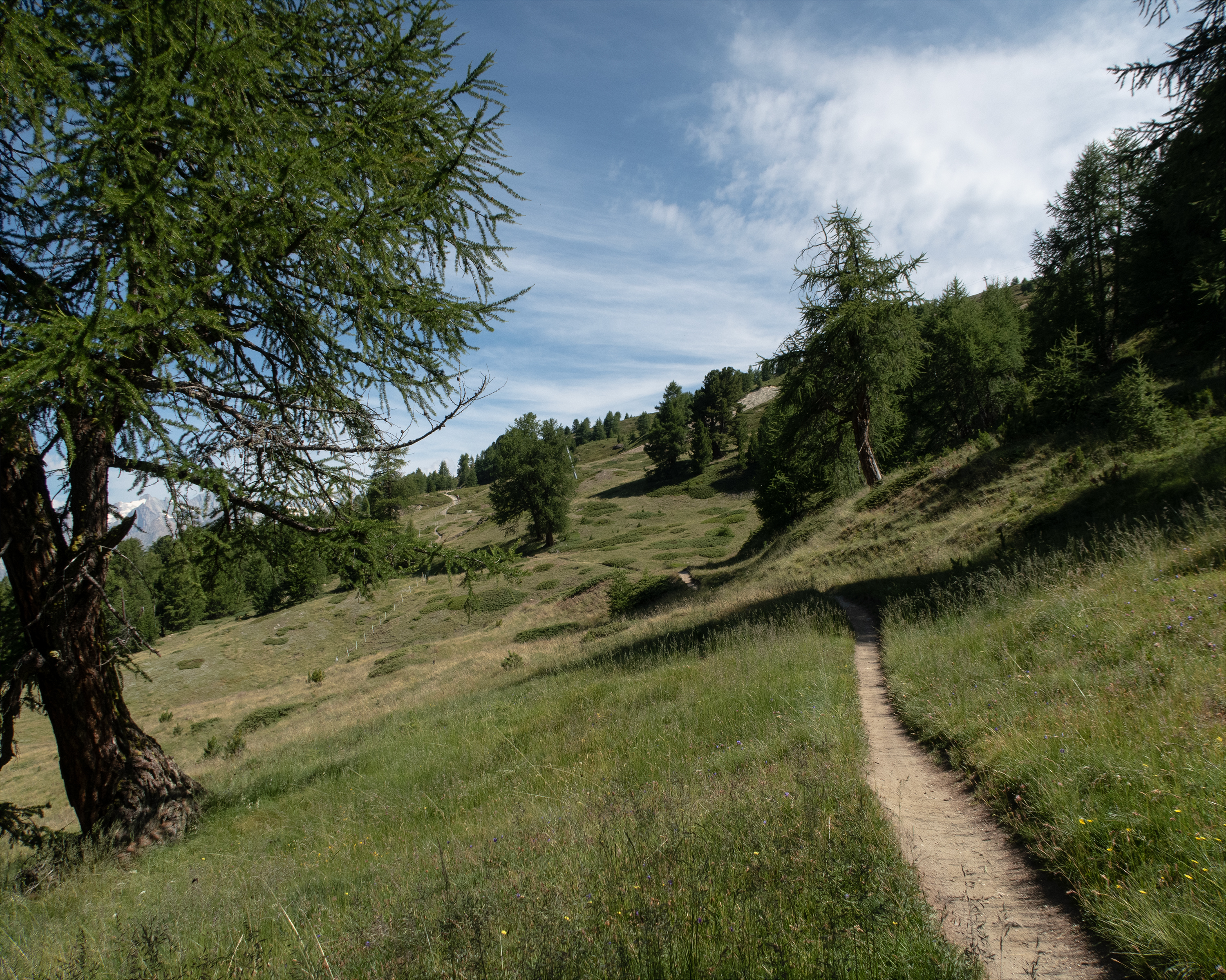 Valais Alpine Bike