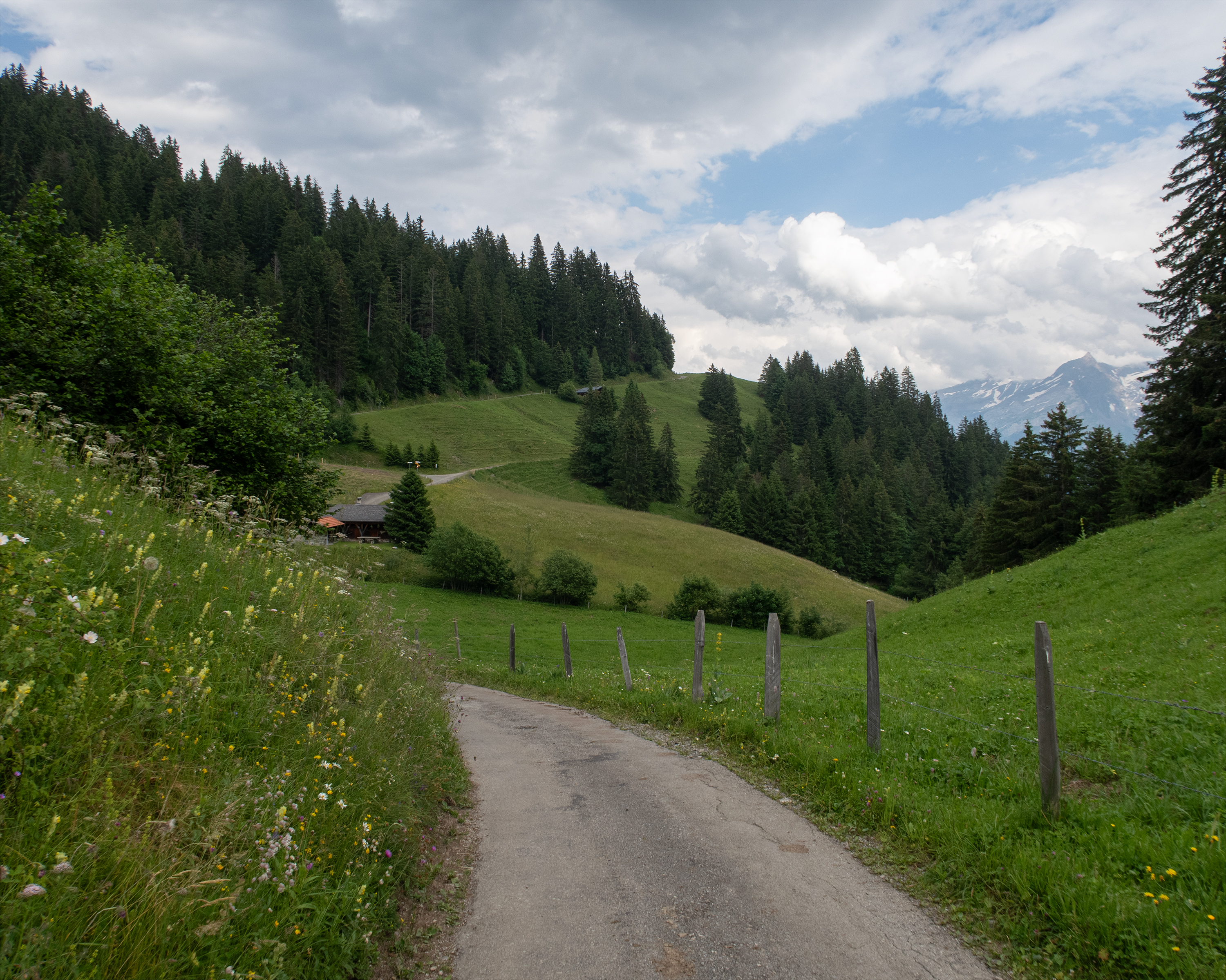 Alpes de la Région du Léman Bike