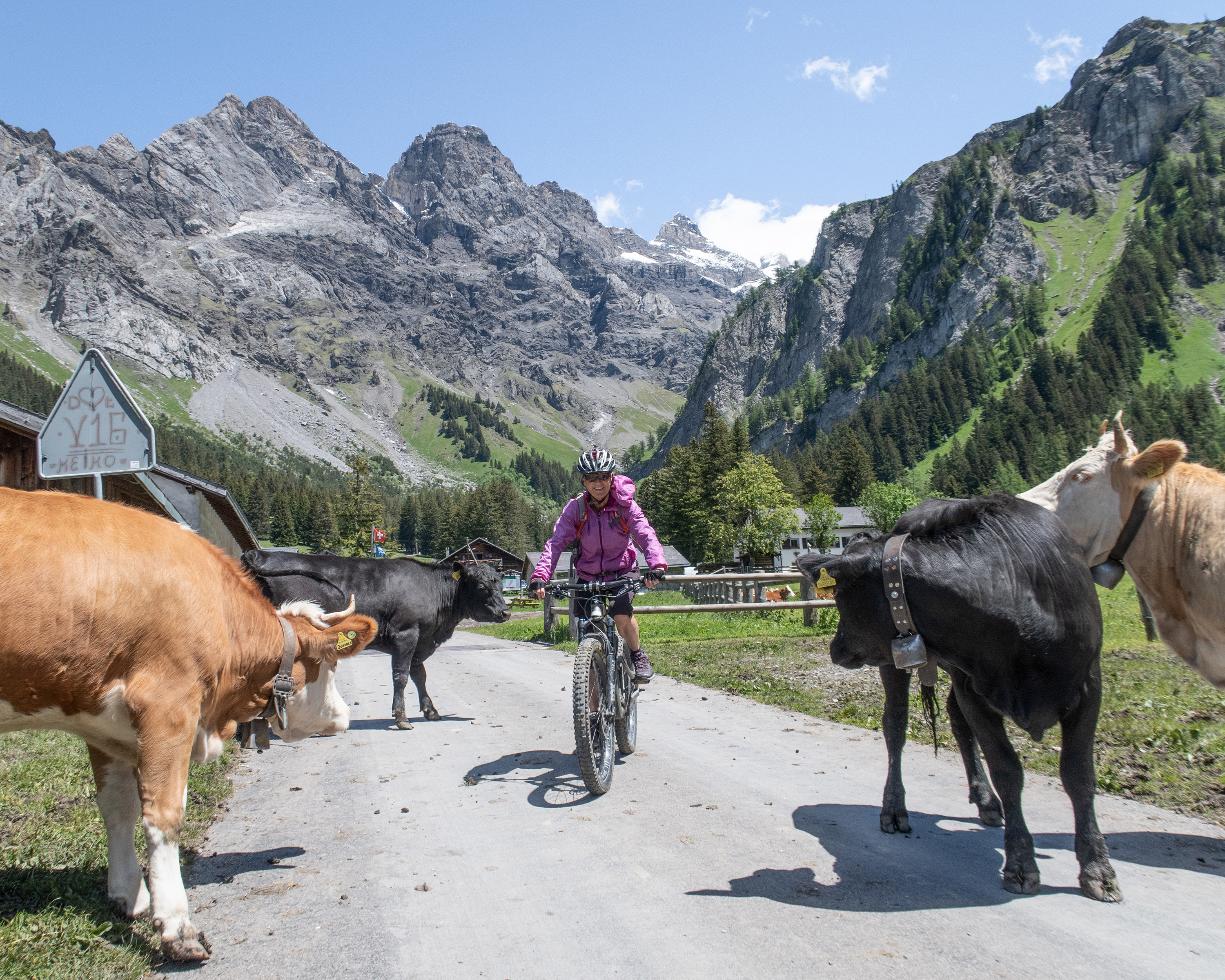 Alpes de la Région du Léman Bike, Etappe 2/2
