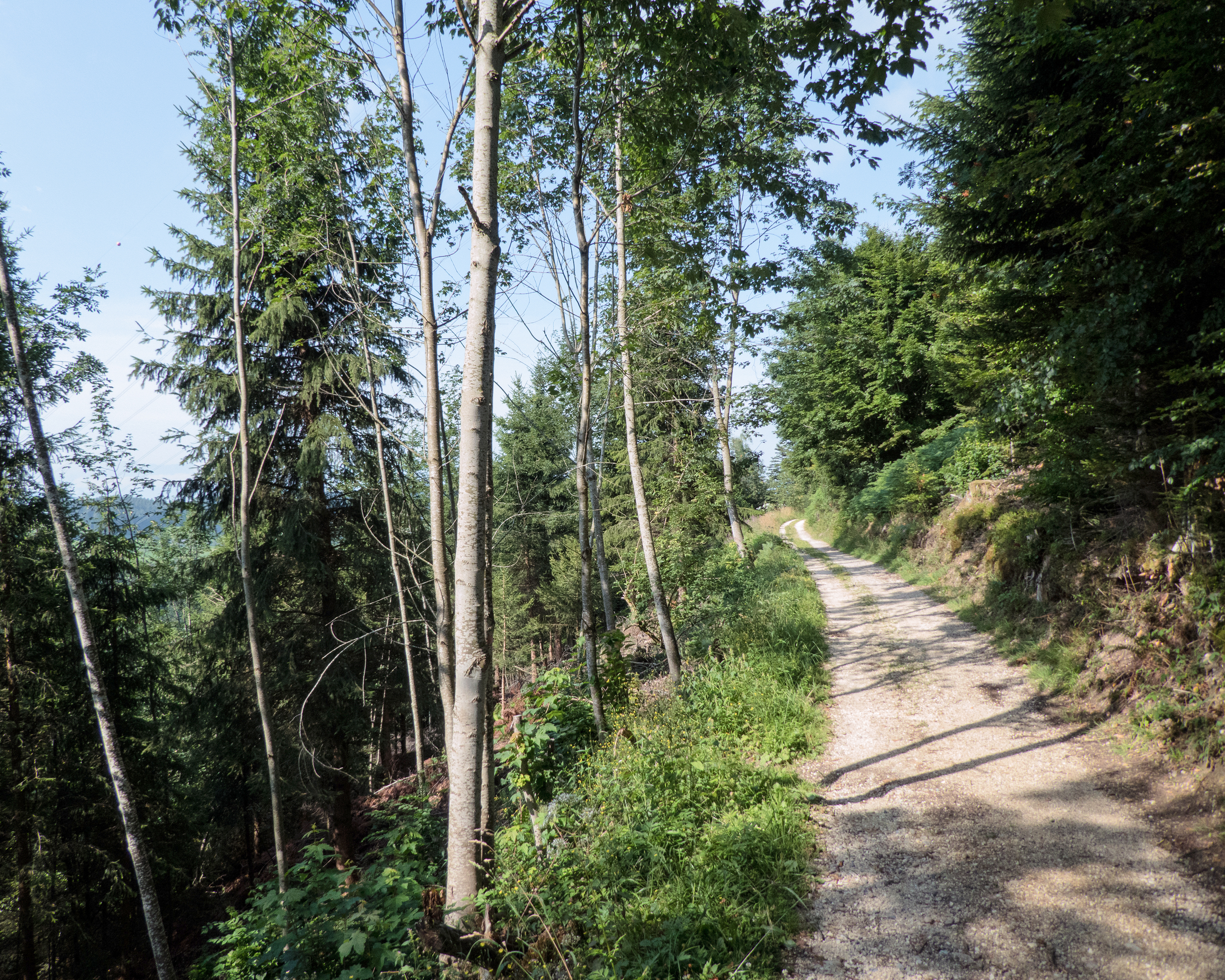 Napf Bike, Tappa 1/3