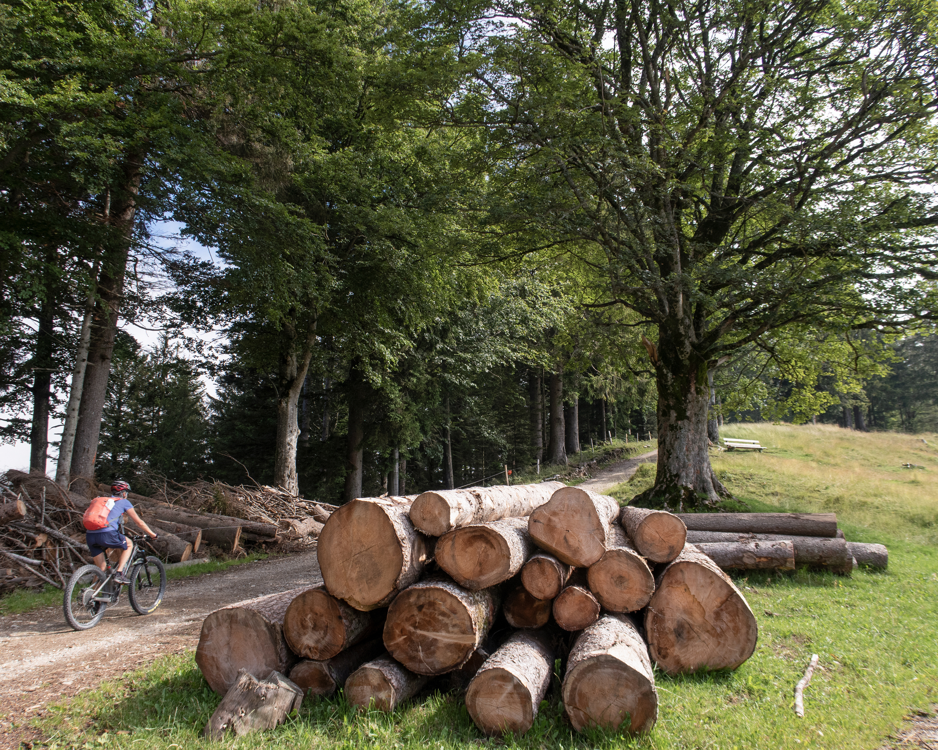 Napf Bike, Etappe 2/3