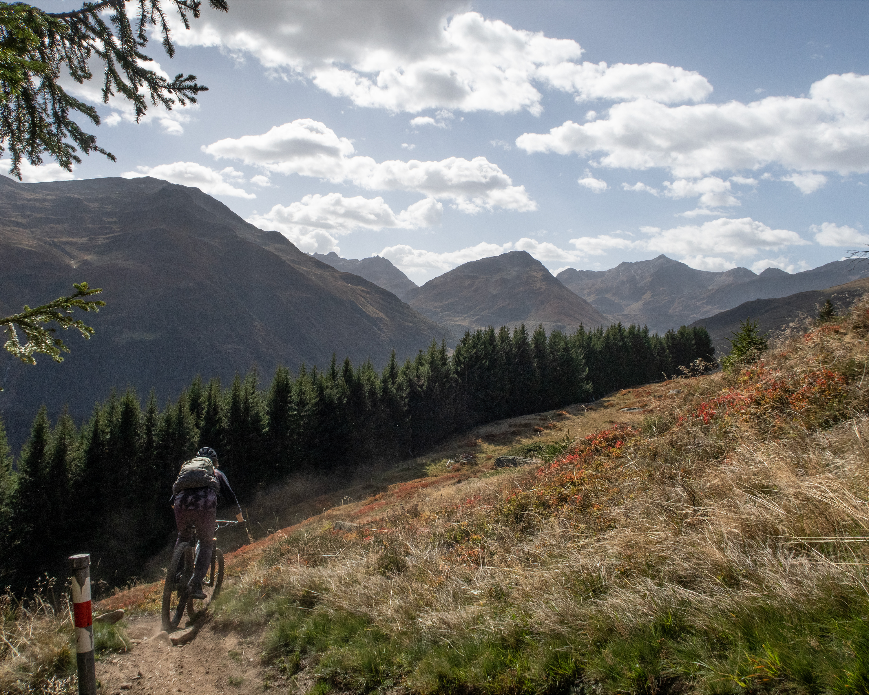 Oberalp Bike