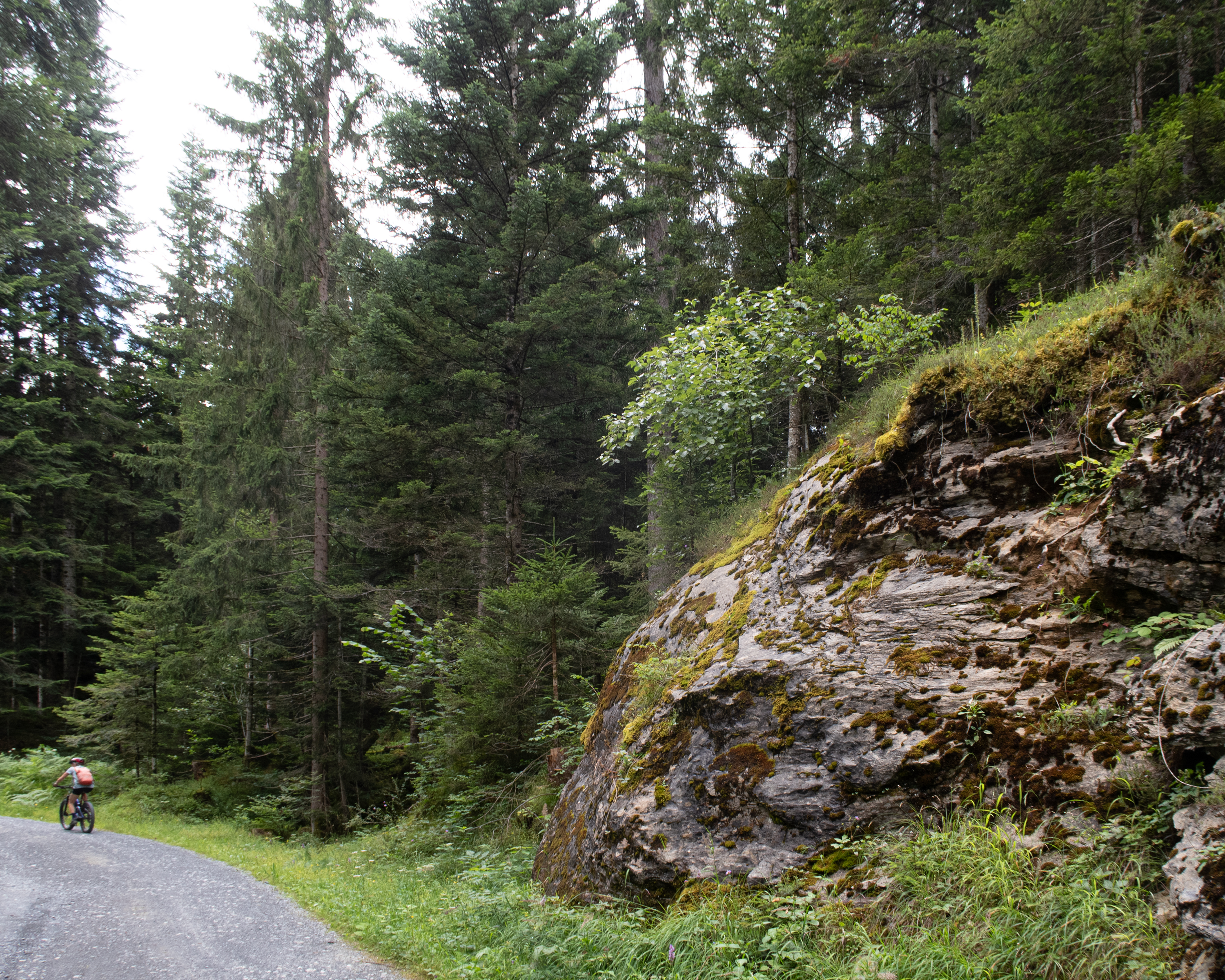 Flimserwald Rundtour