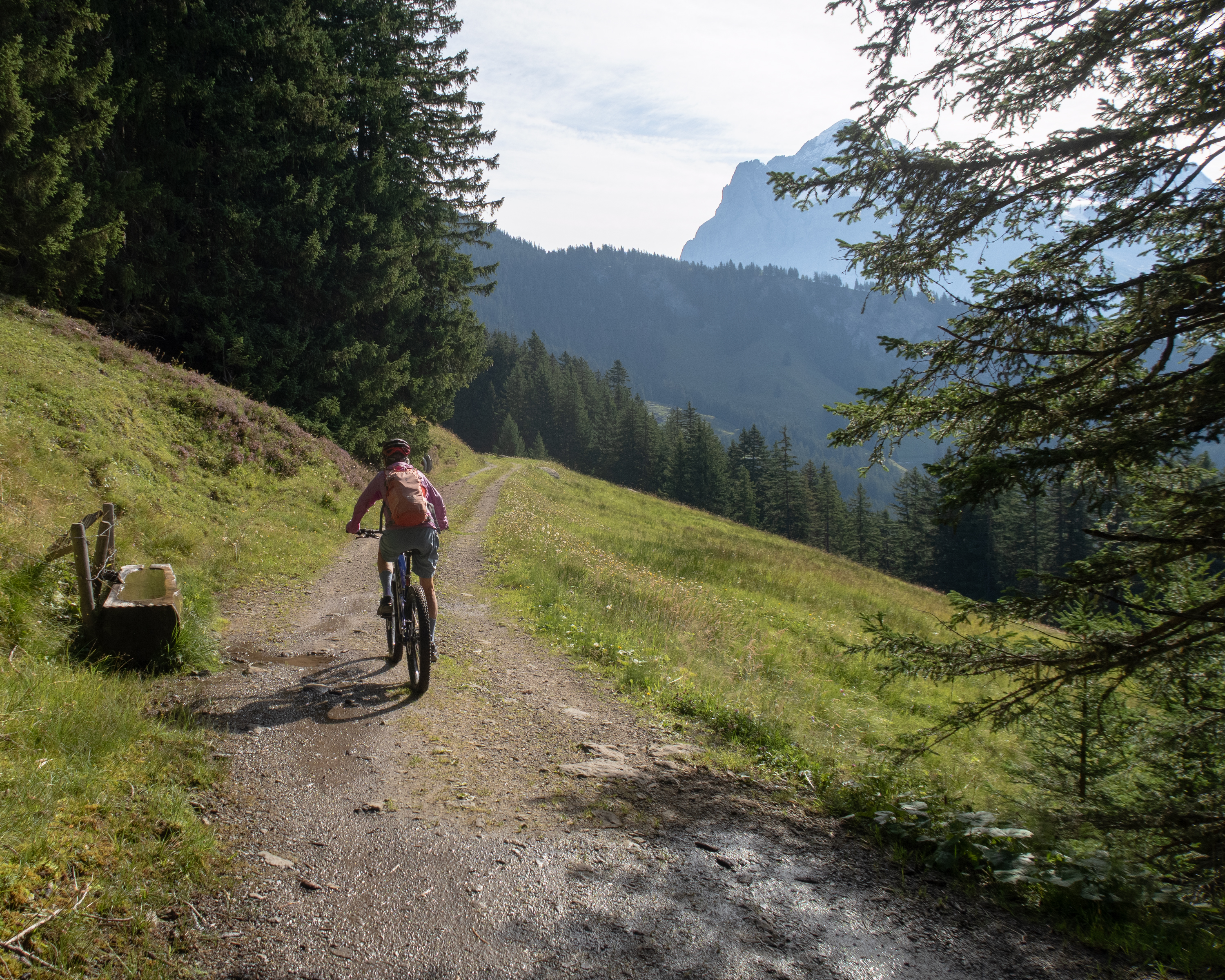 Bussalp Bike