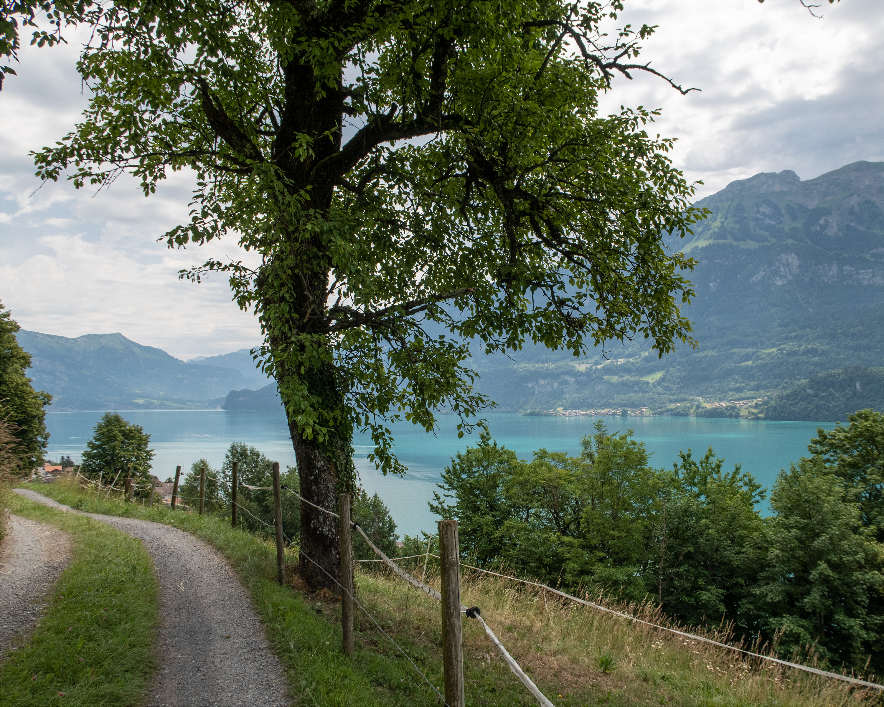 Brienzersee Bike