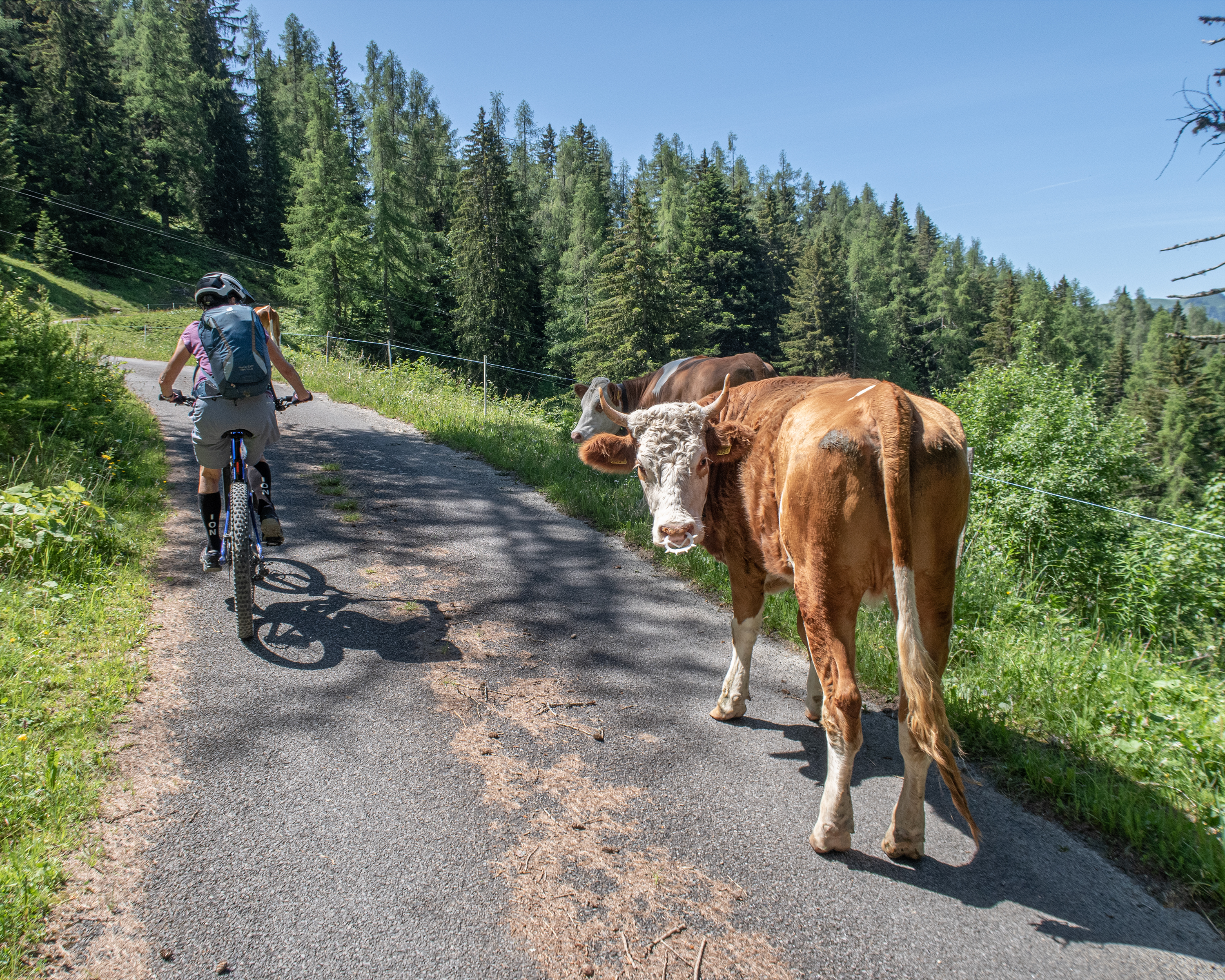 Isenau Bike