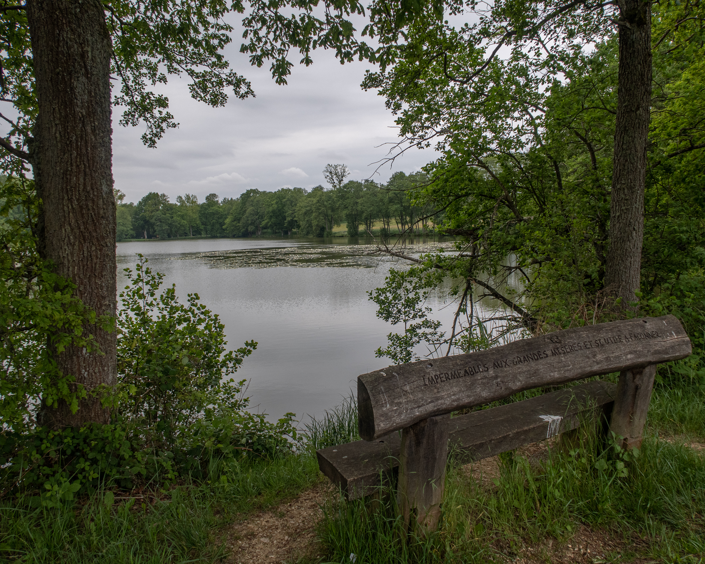 Les Etangs de l'Ajoie Fahrrad