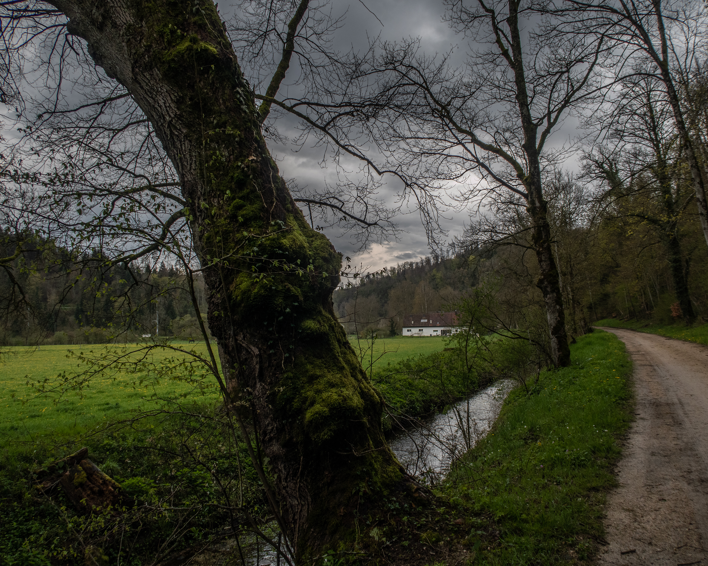 Mont de Coeuve Bike