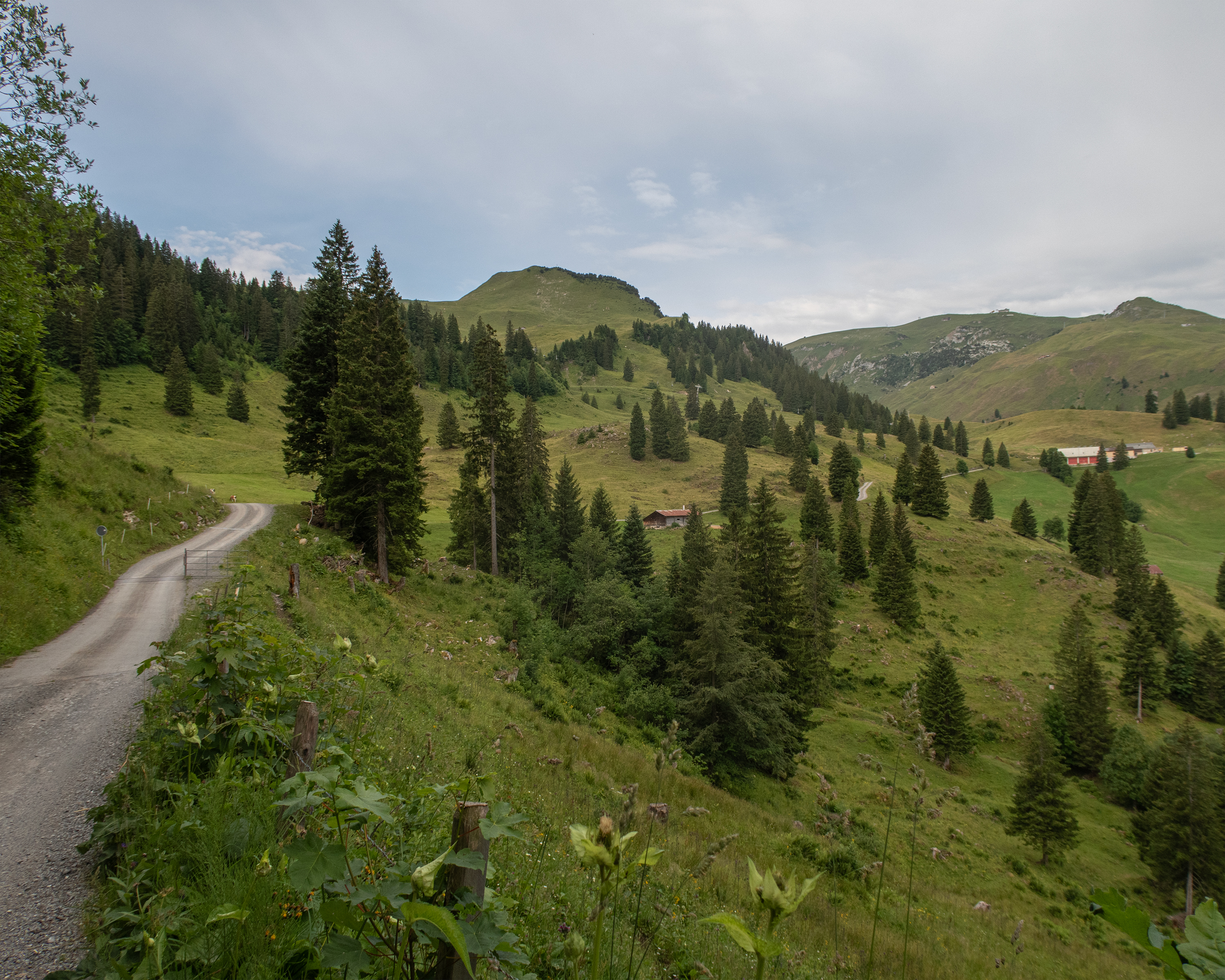 Fronalp Tour