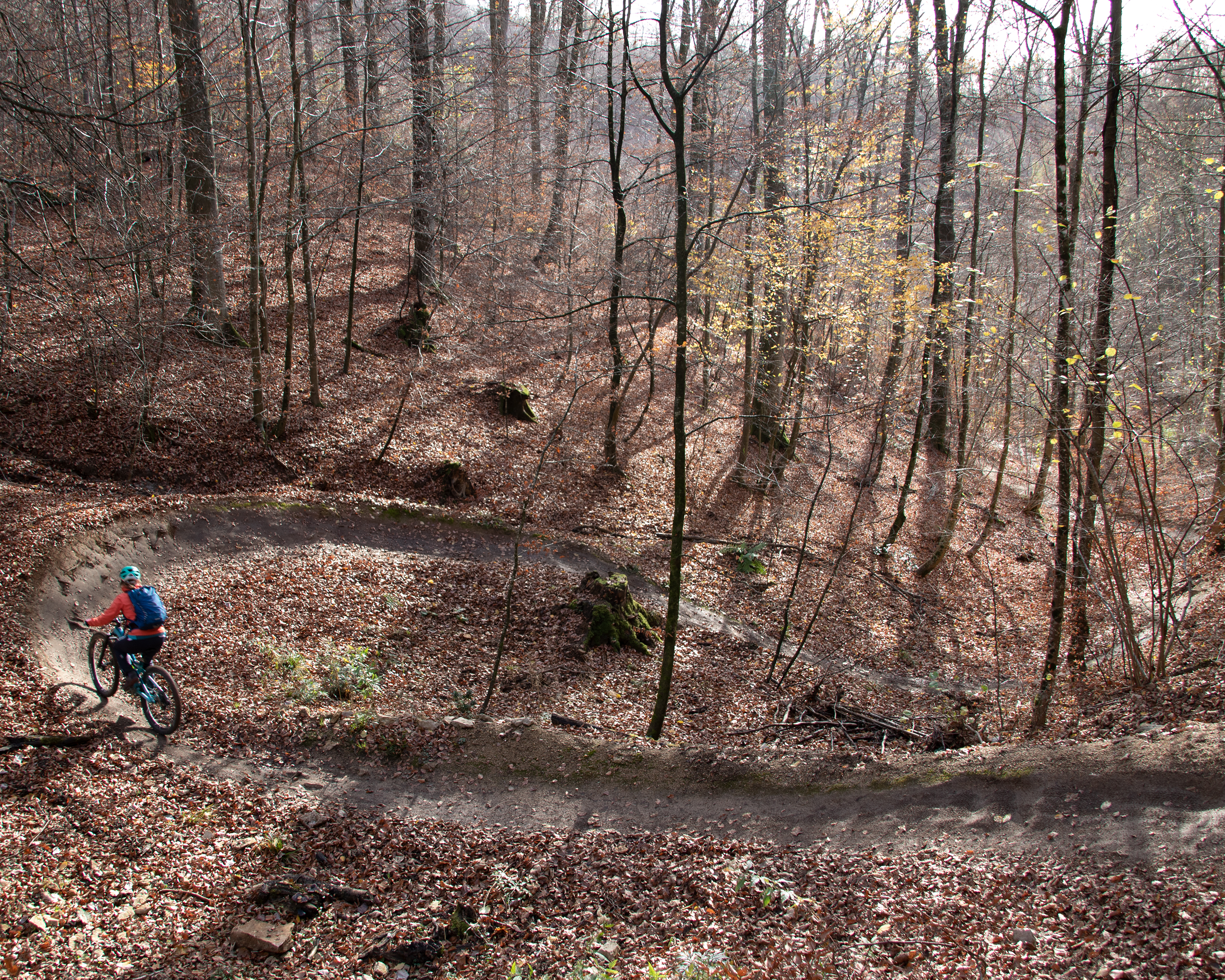 Bike Trail Arlesheim