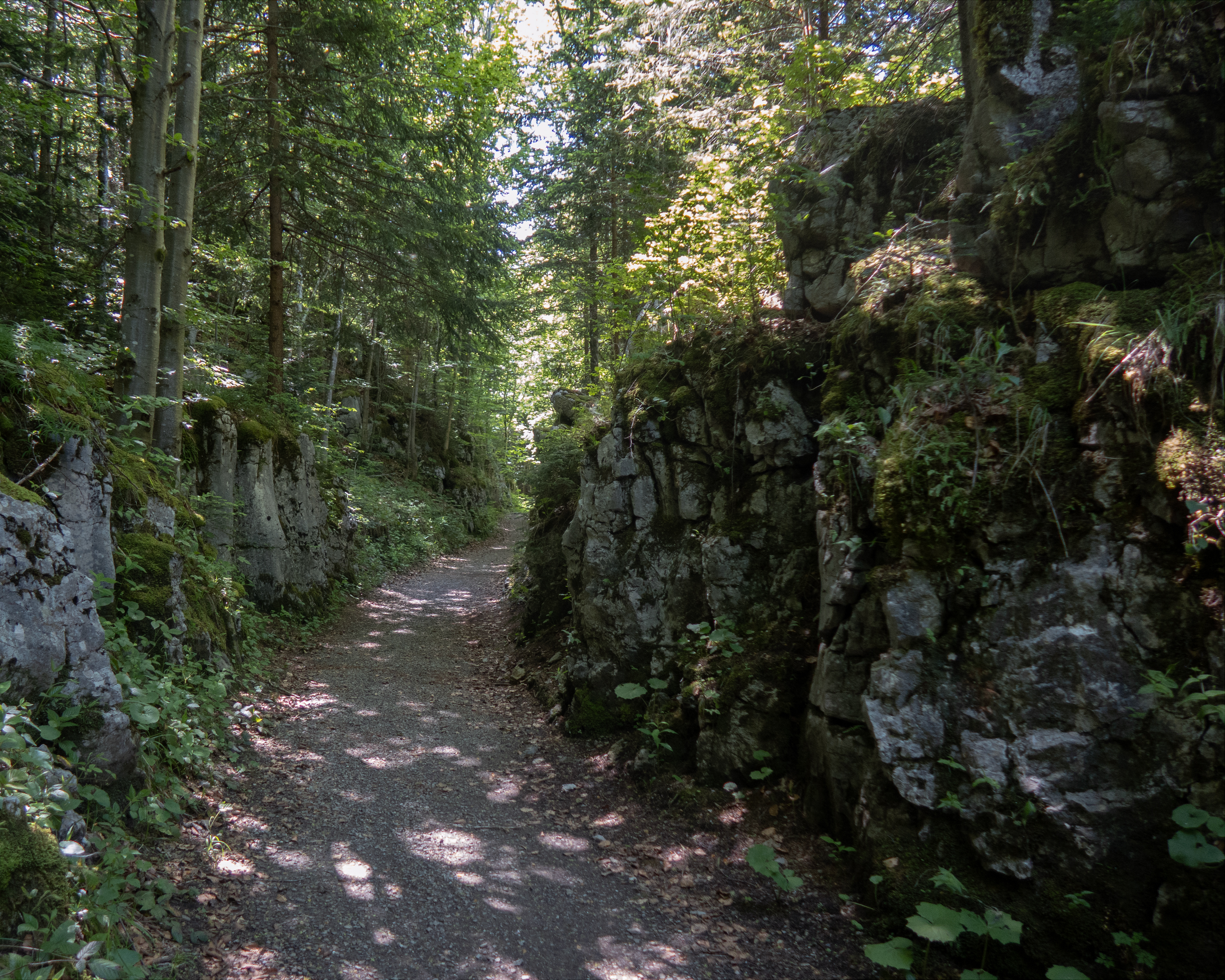 Brennwald