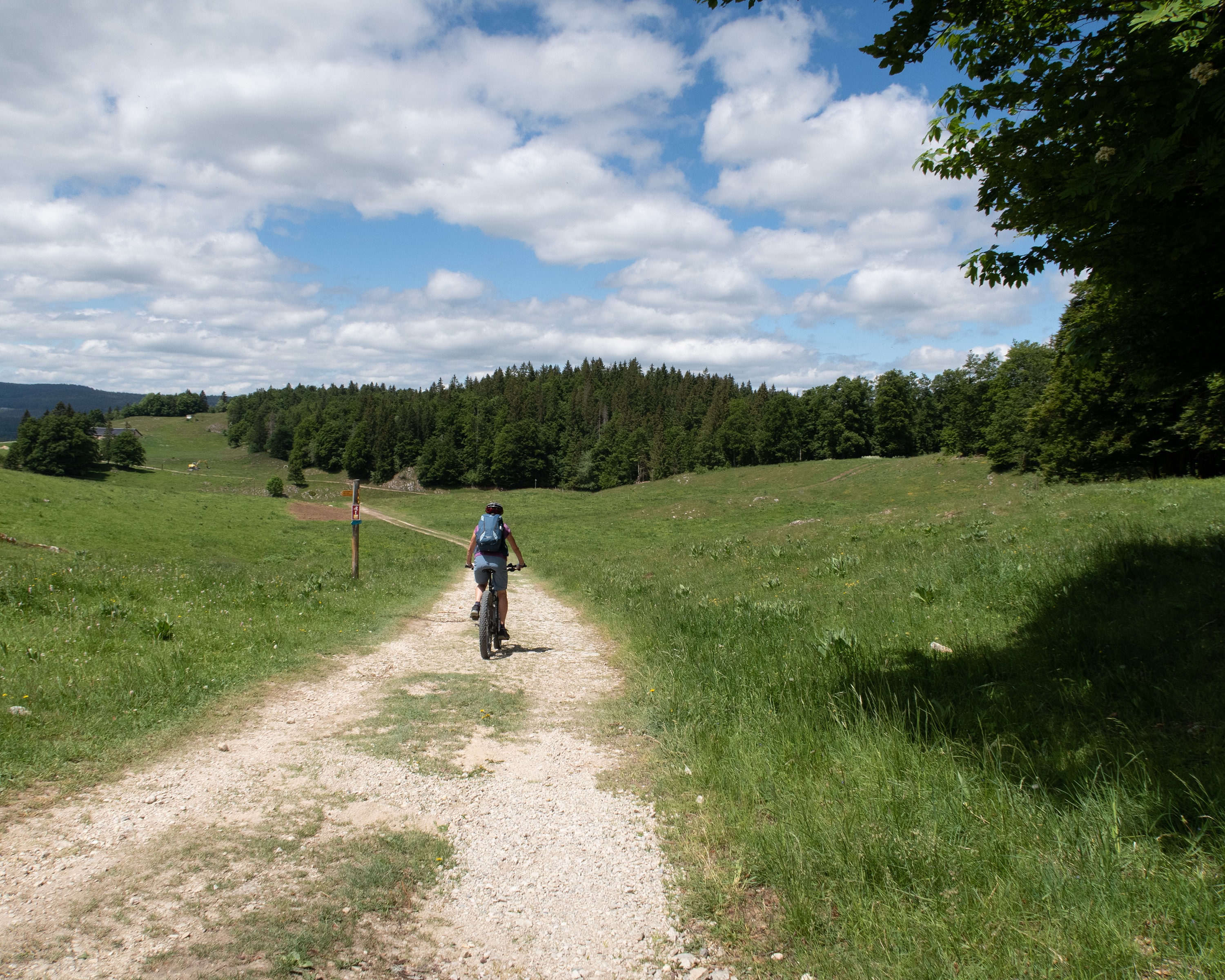 Dent de Vaulion Bike