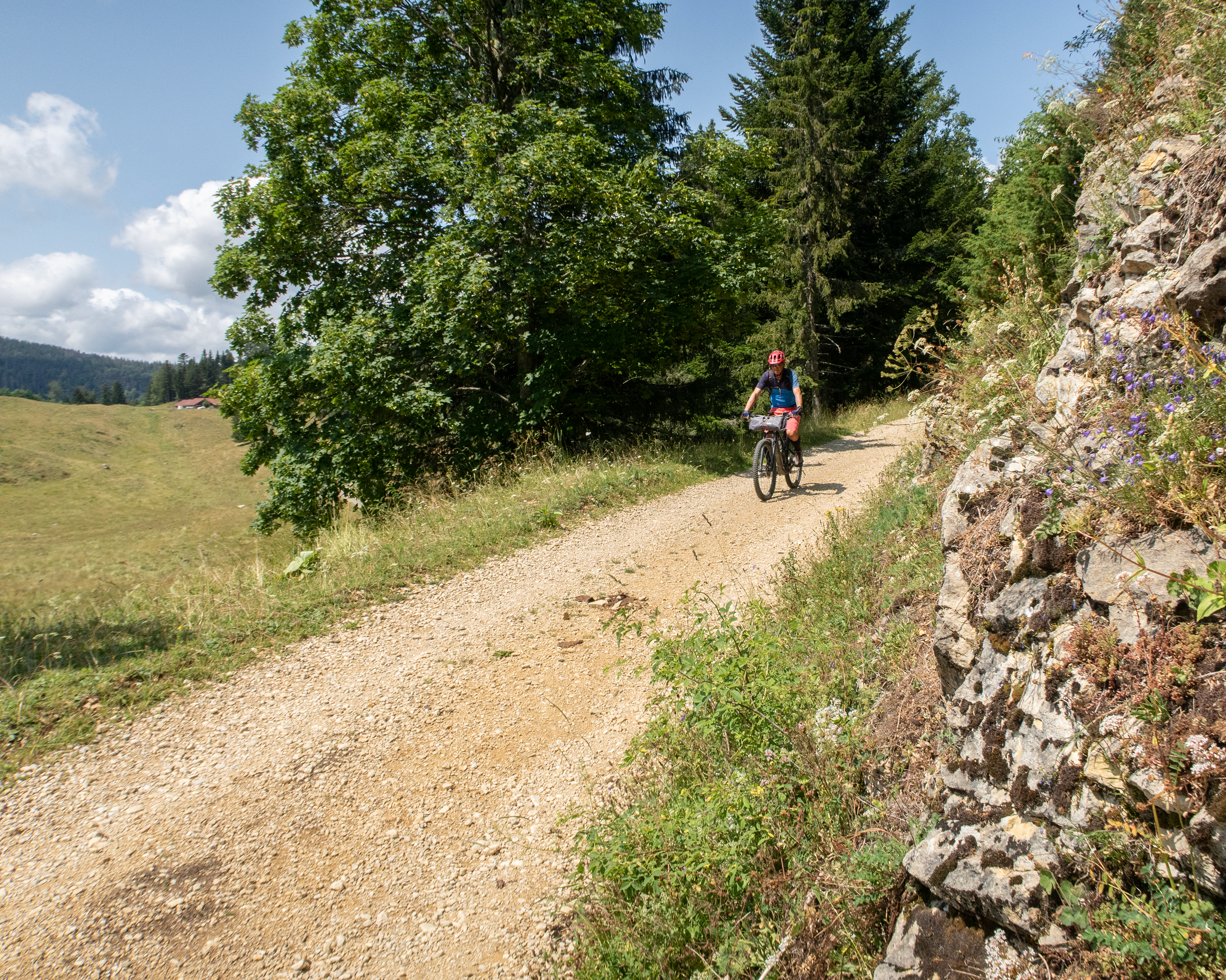 Bois et Combes de St-Cergue Bike