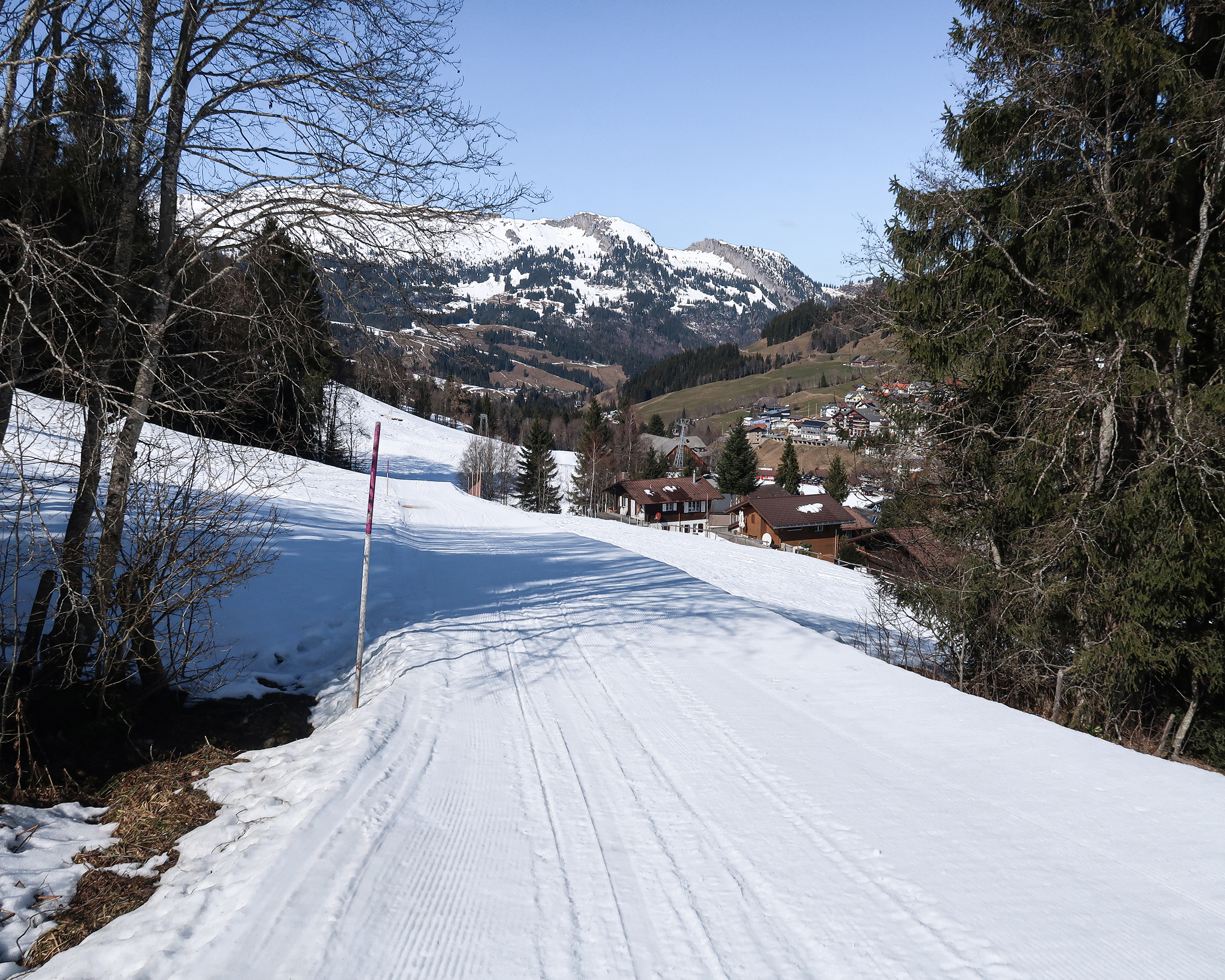 Schlittelweg Rossweid