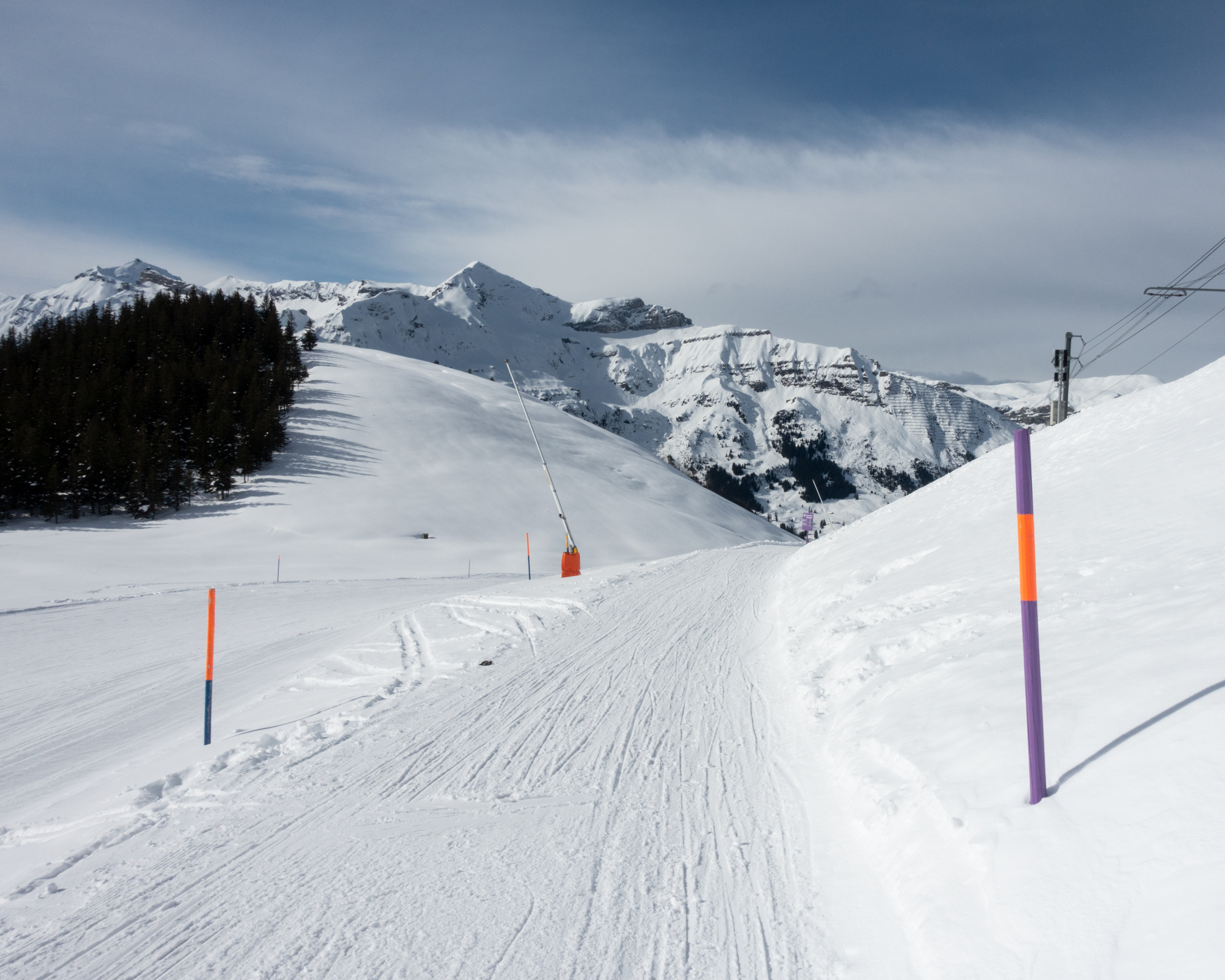 Foxrun Wengernalp–Wengen
