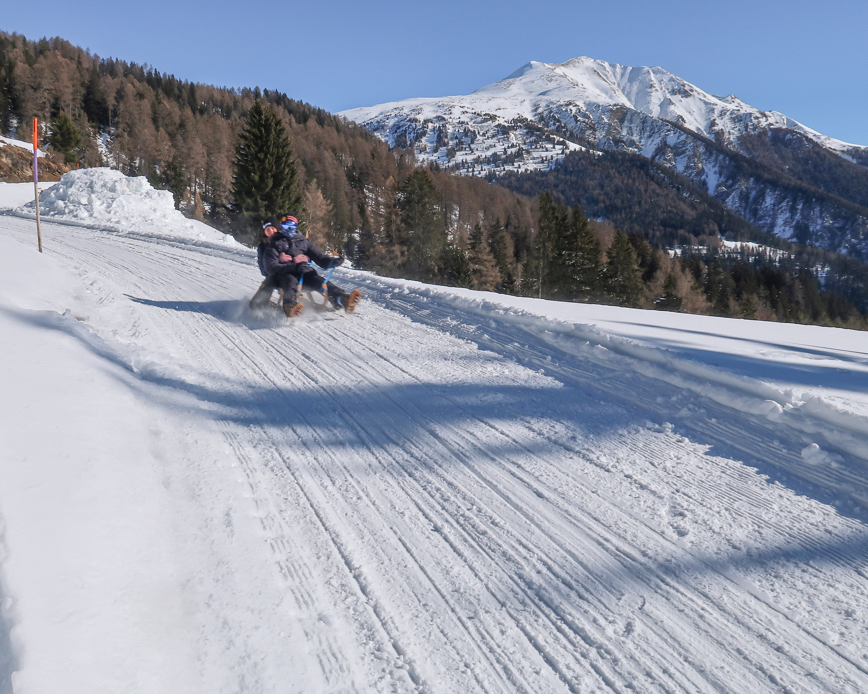 Schlittelweg Mutta Südhang