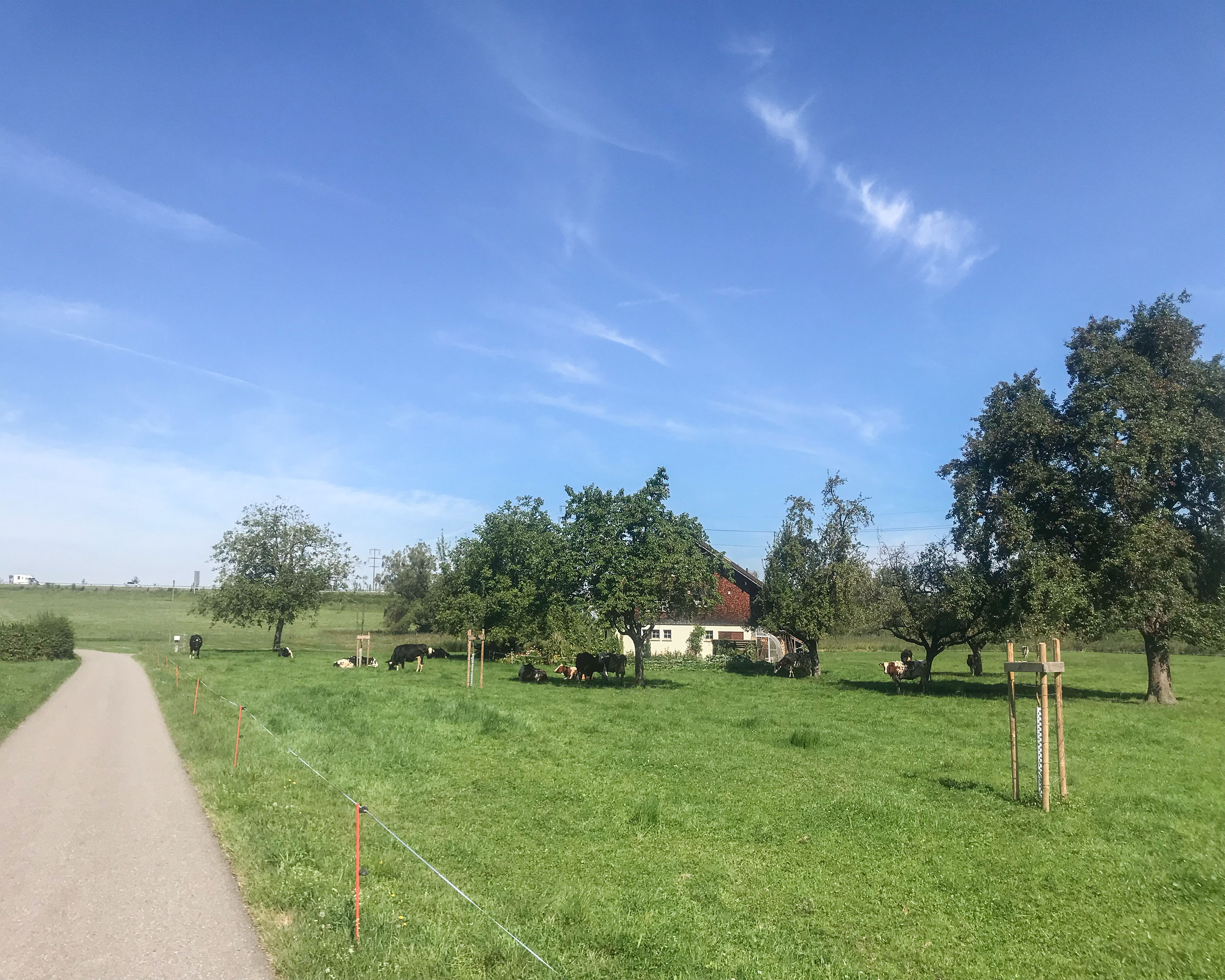 Rhein Skate, Etappe 3/4