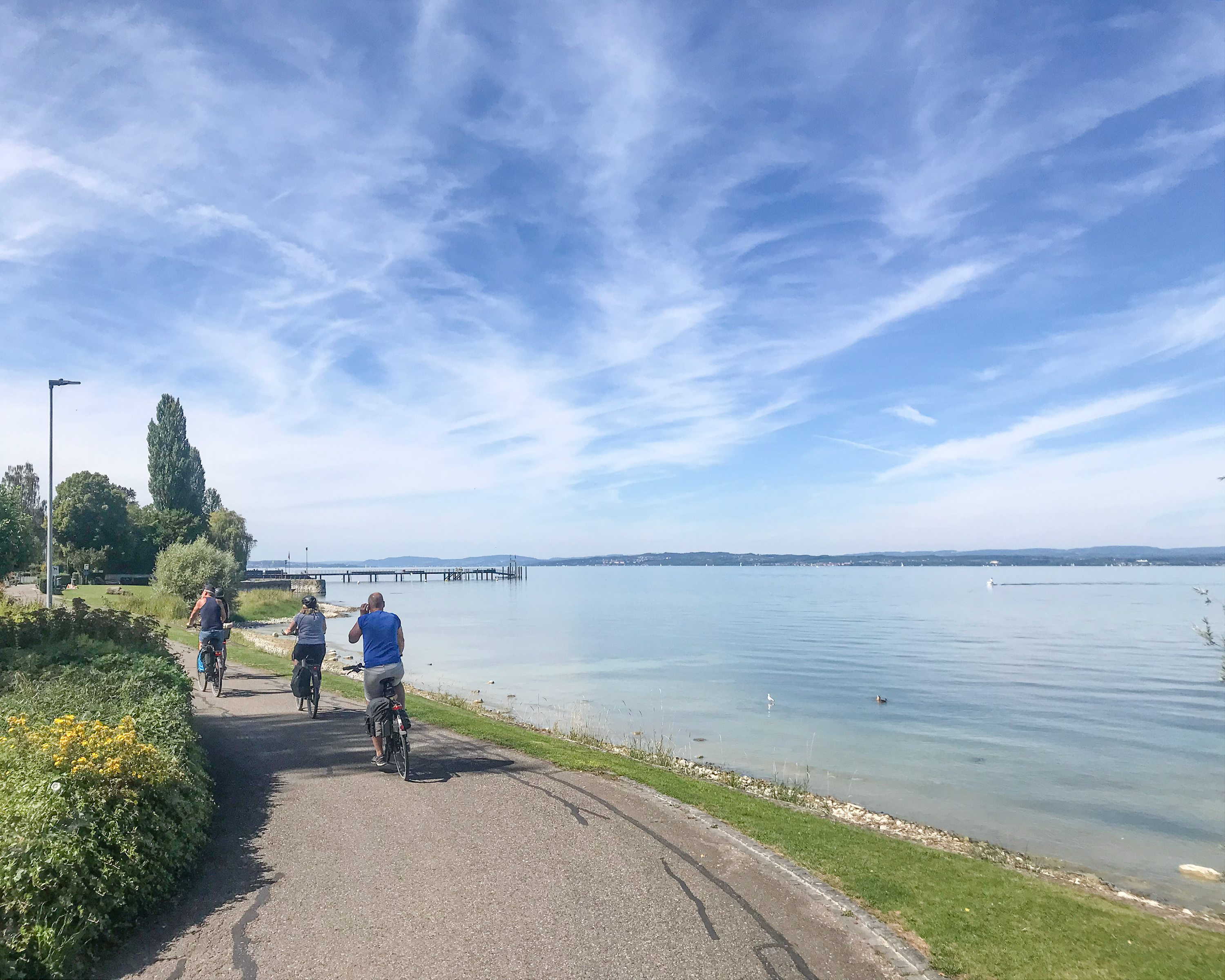 Rhein Skate