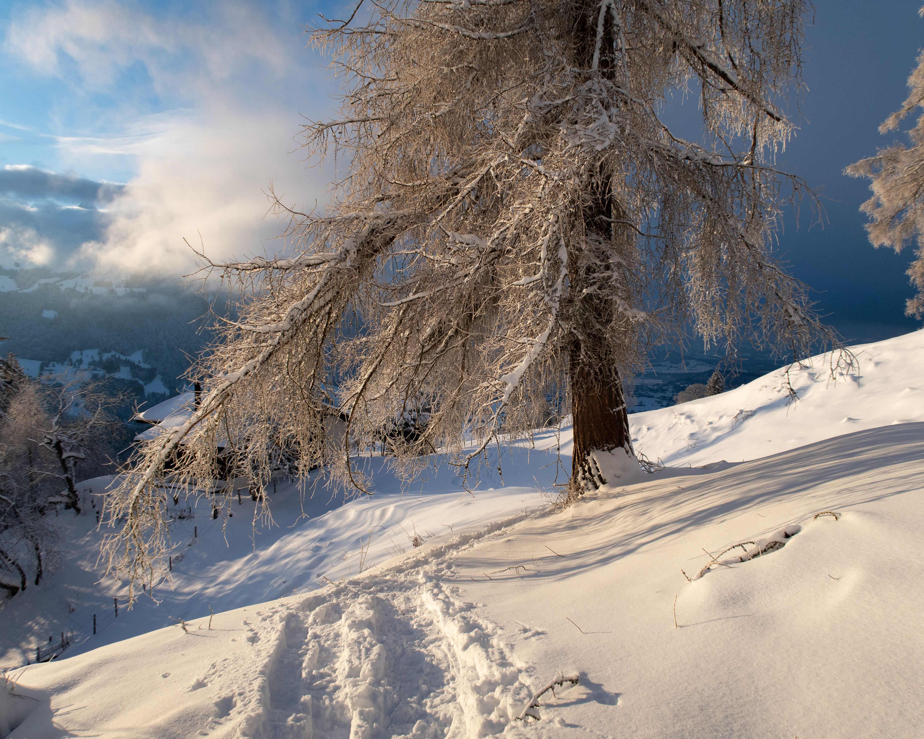 Brunni Trail
