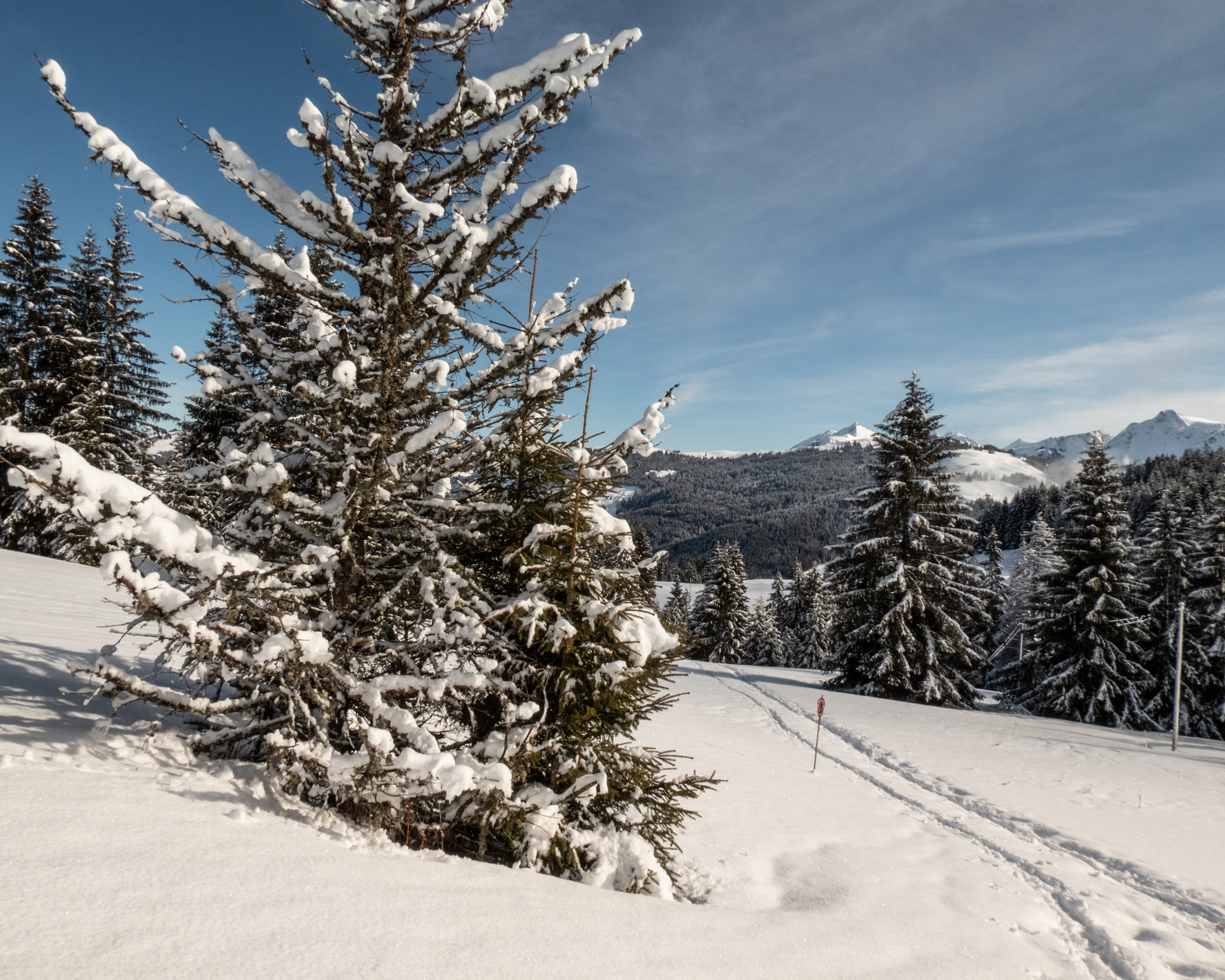 Schwyberg Trail