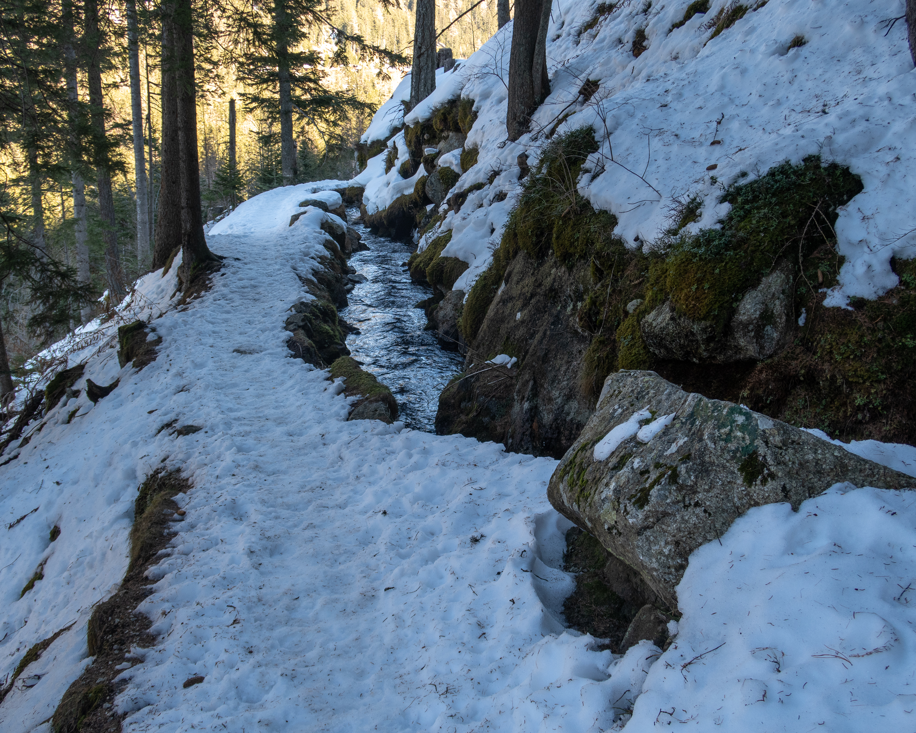 Parcours Bisse de Champex