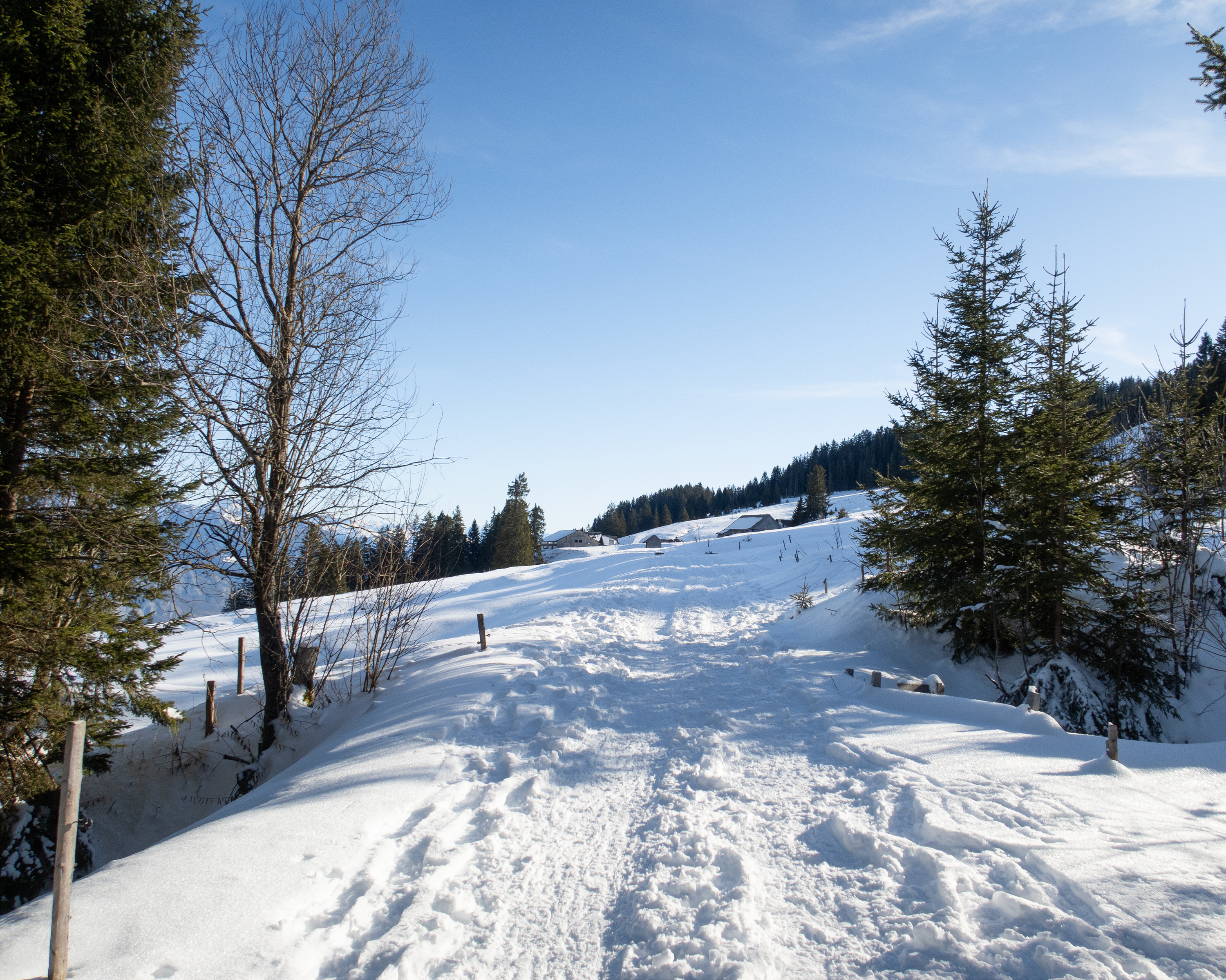 Gampergalt Trail