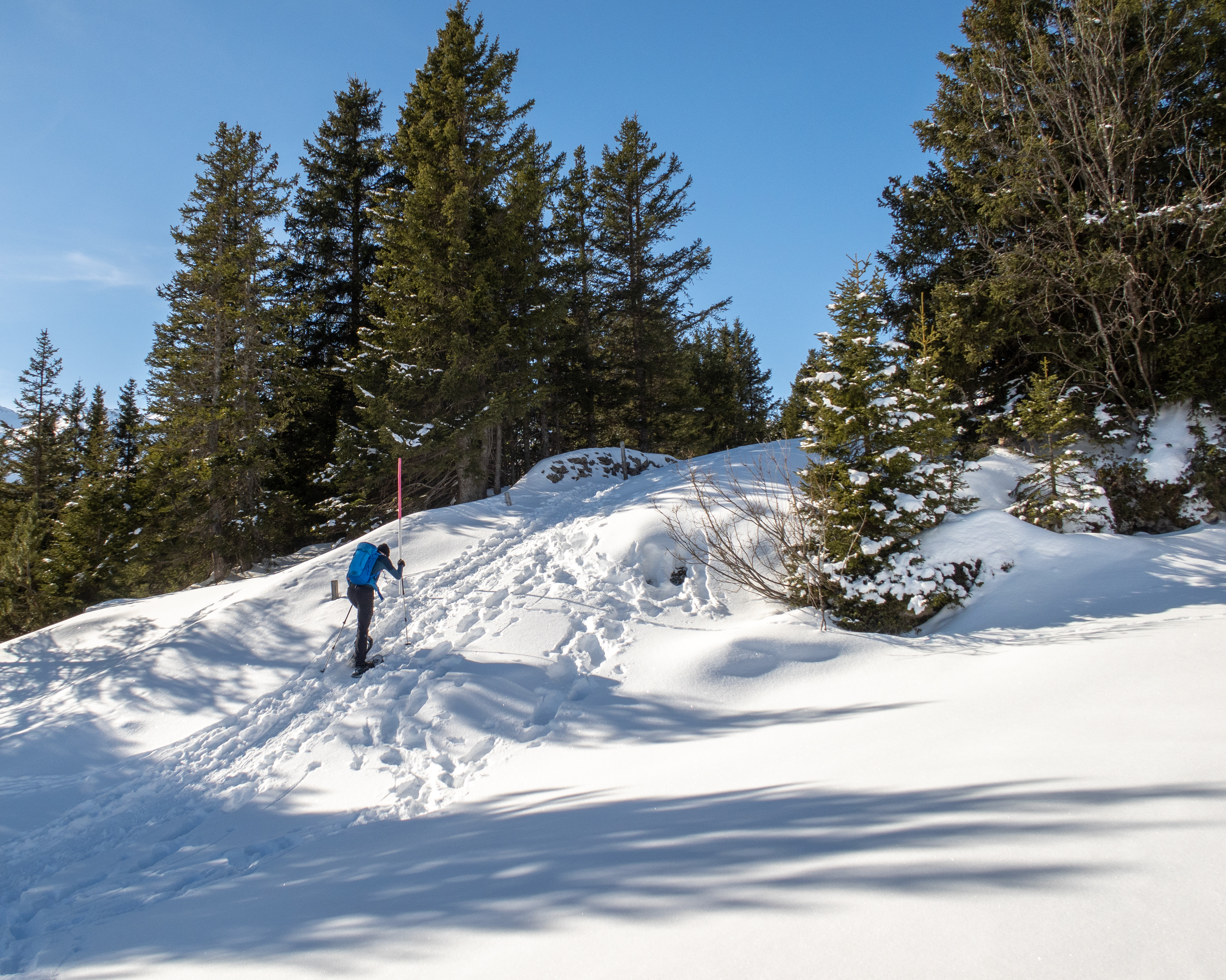 Schneeschuhtrail Plattis
