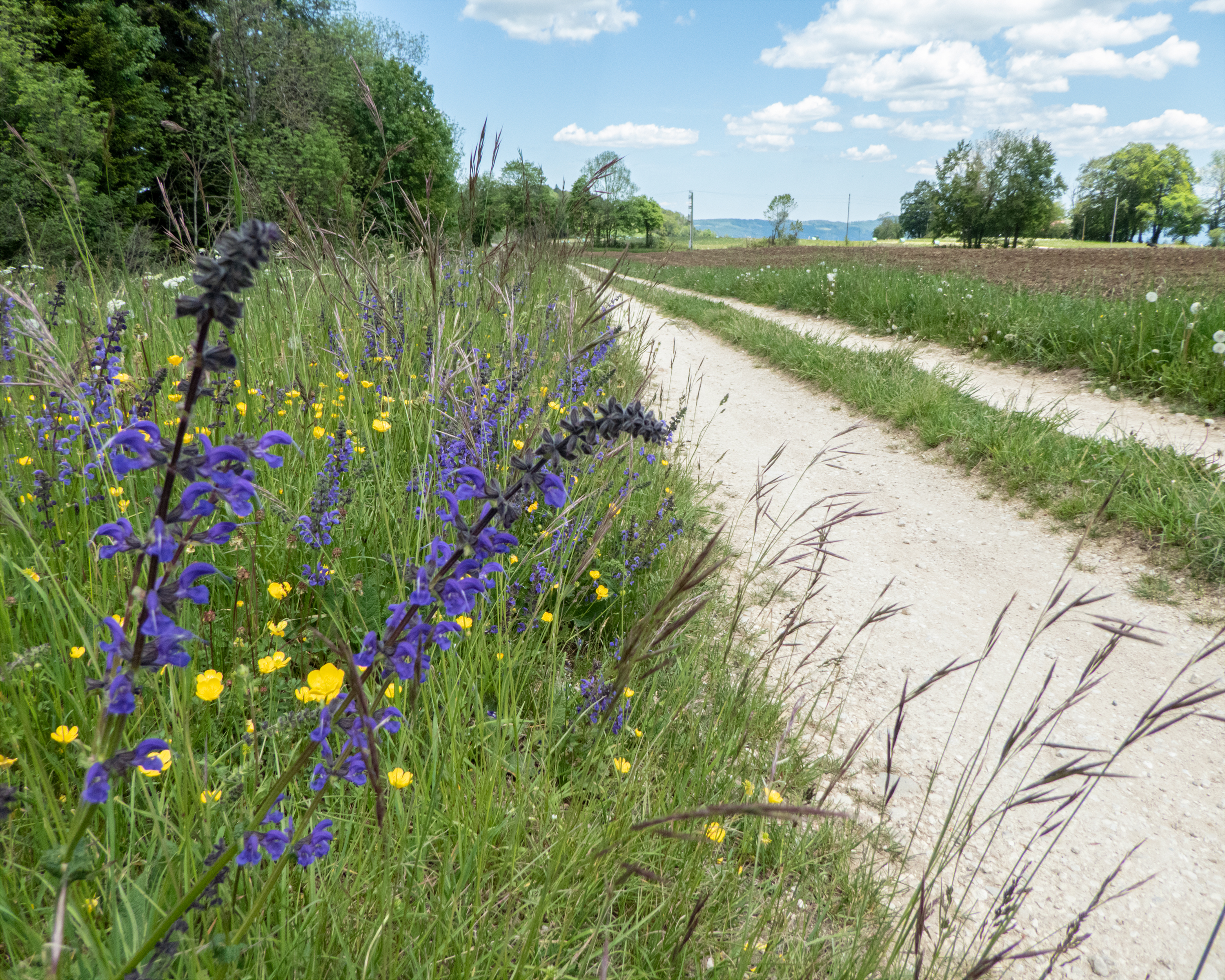 Jura-Route, Etappe 2/6