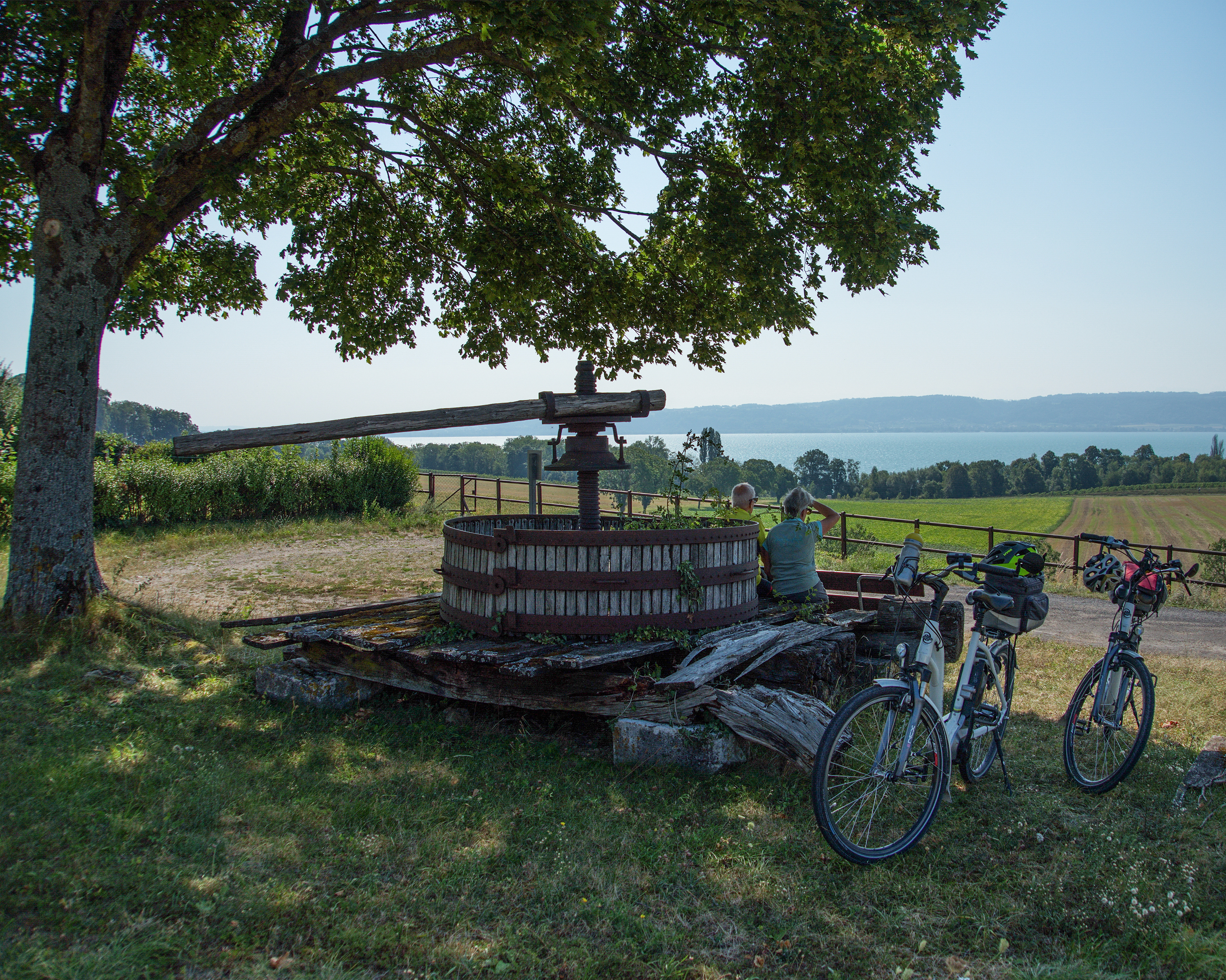 Nord Vaudois–Jura