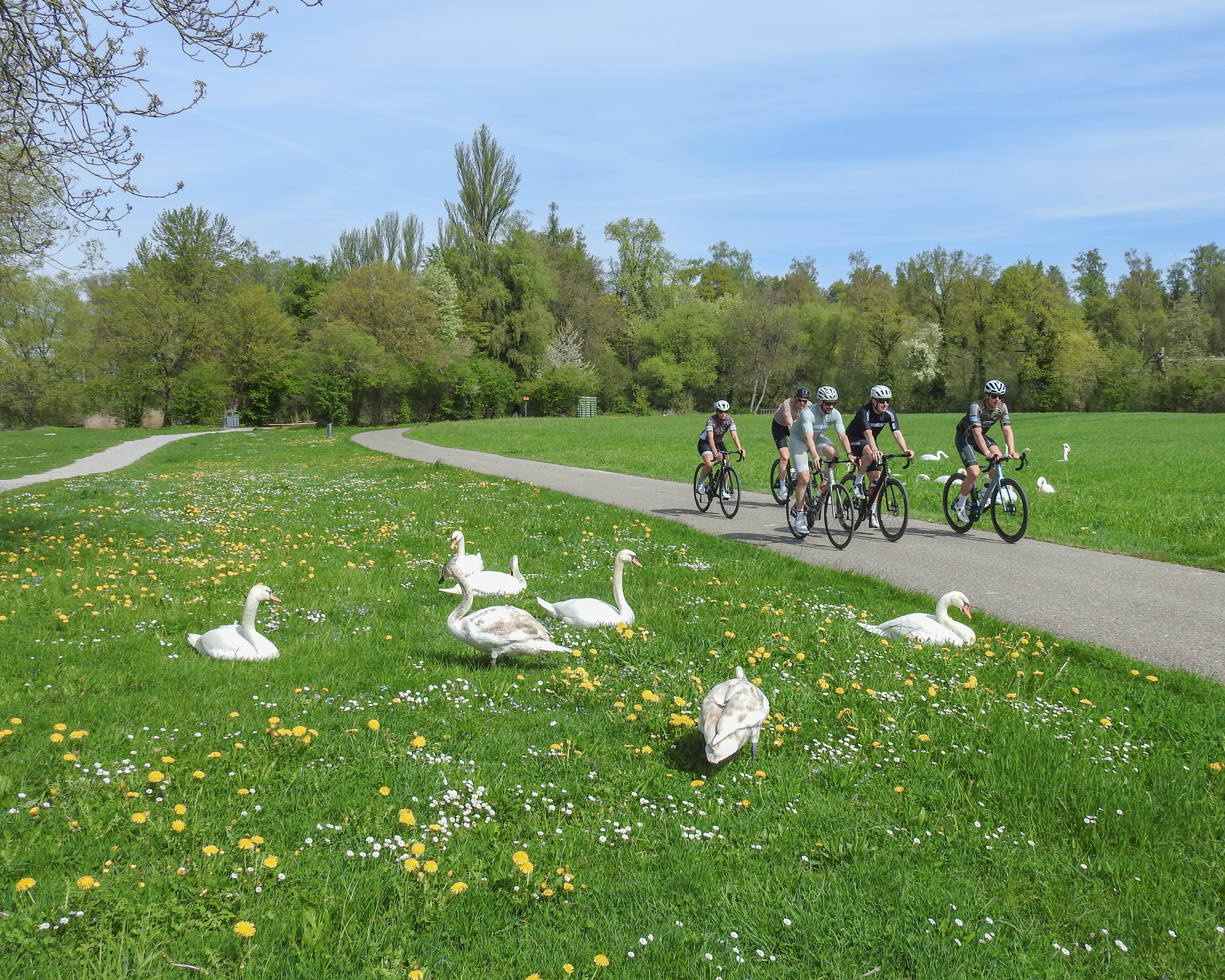 Glatt-Route, Etappe 2/2