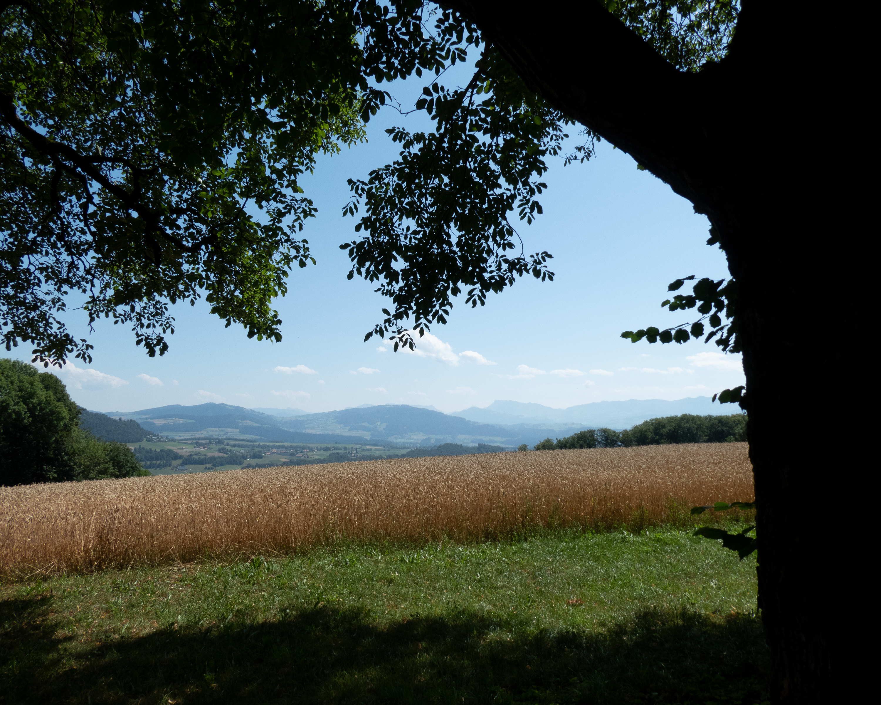 Bern-Süd-Route