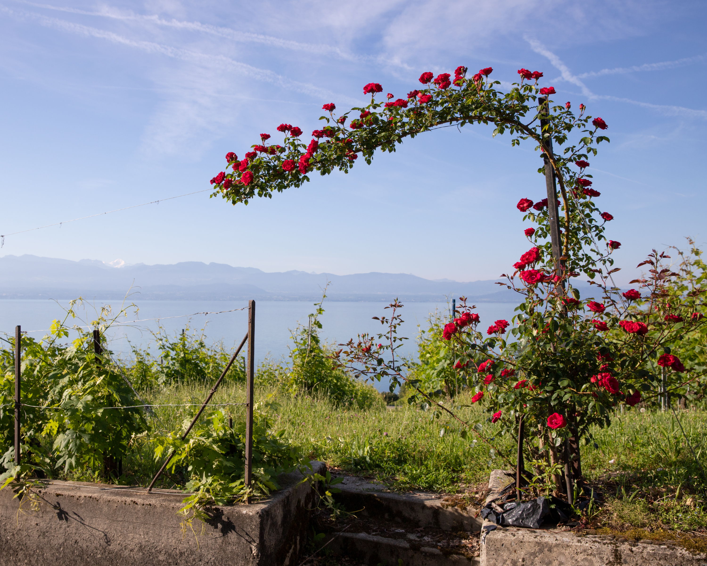 Tour du Léman, Etappe 1/4