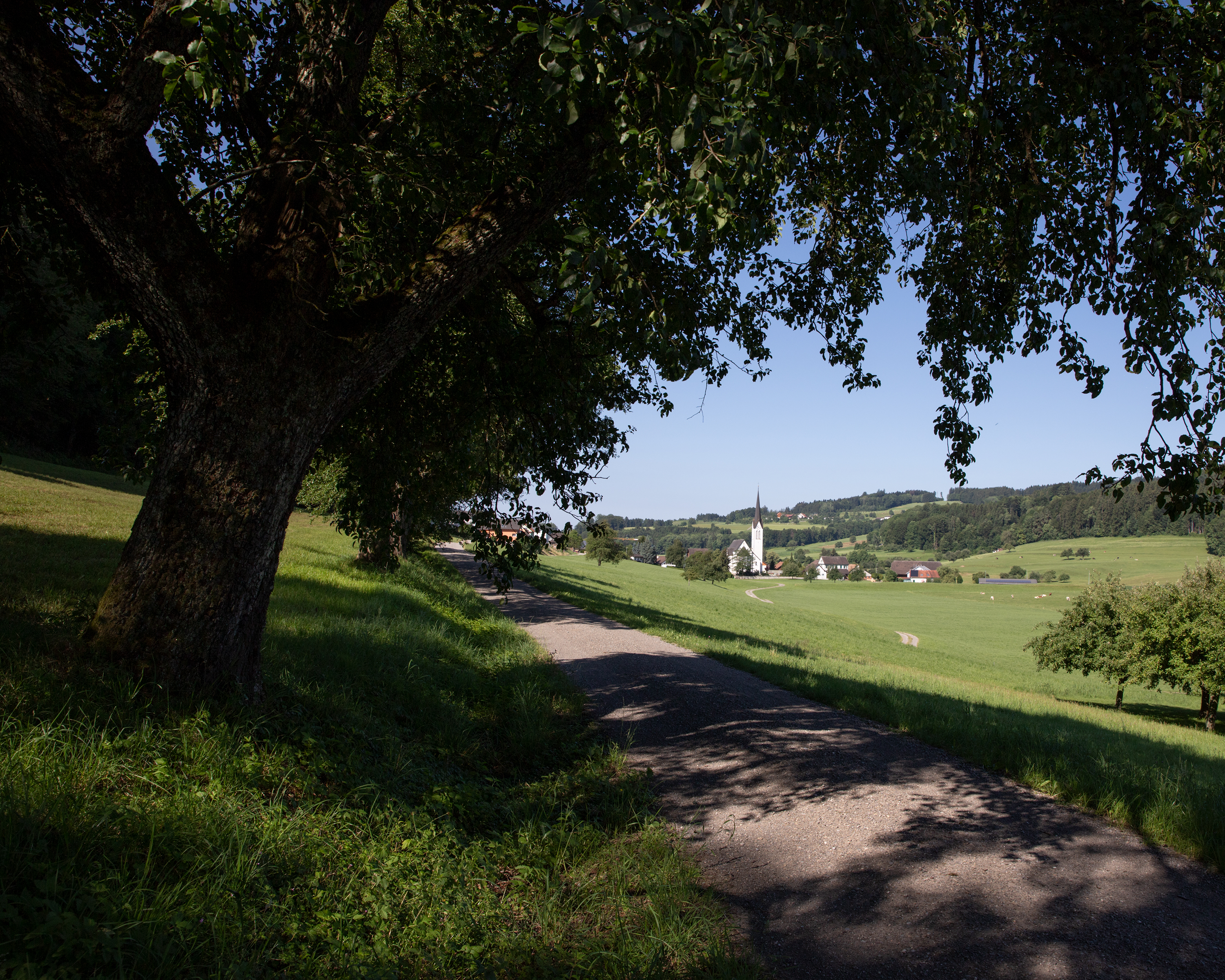 Thurgauer Panorama-Route