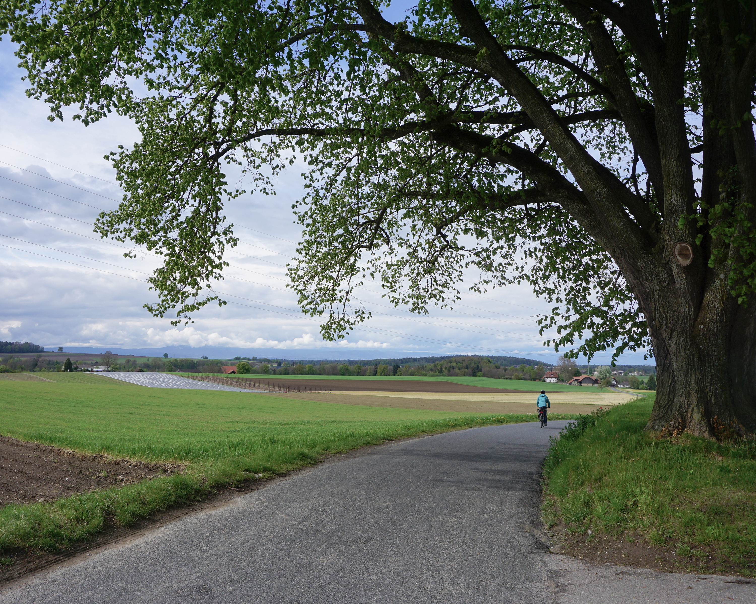 Saanenland–Freiburgerland, Etappe 4/4