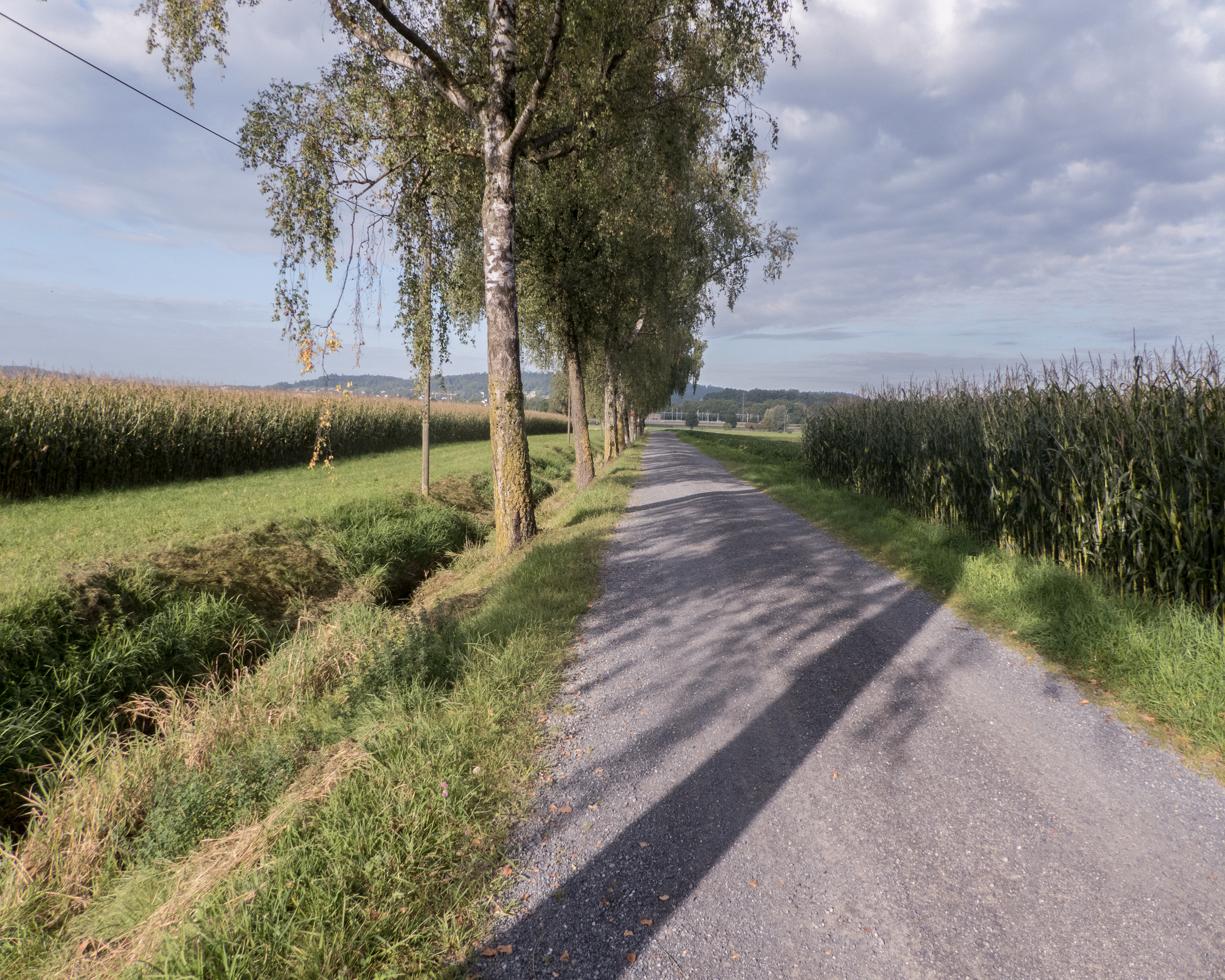 Studenland-Töss-Römer-Route