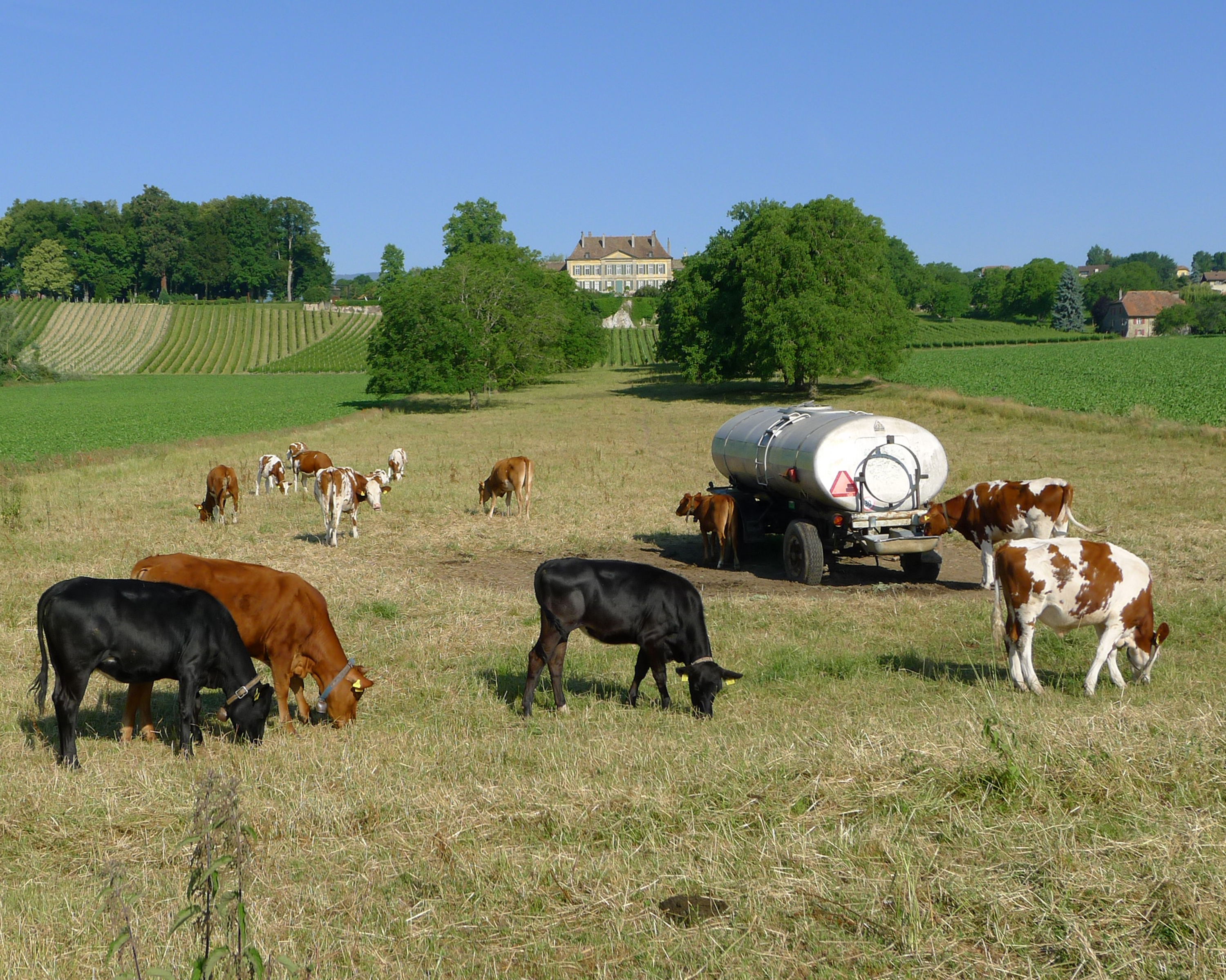 Gros de Vaud–La Côte, Etappe 2/2