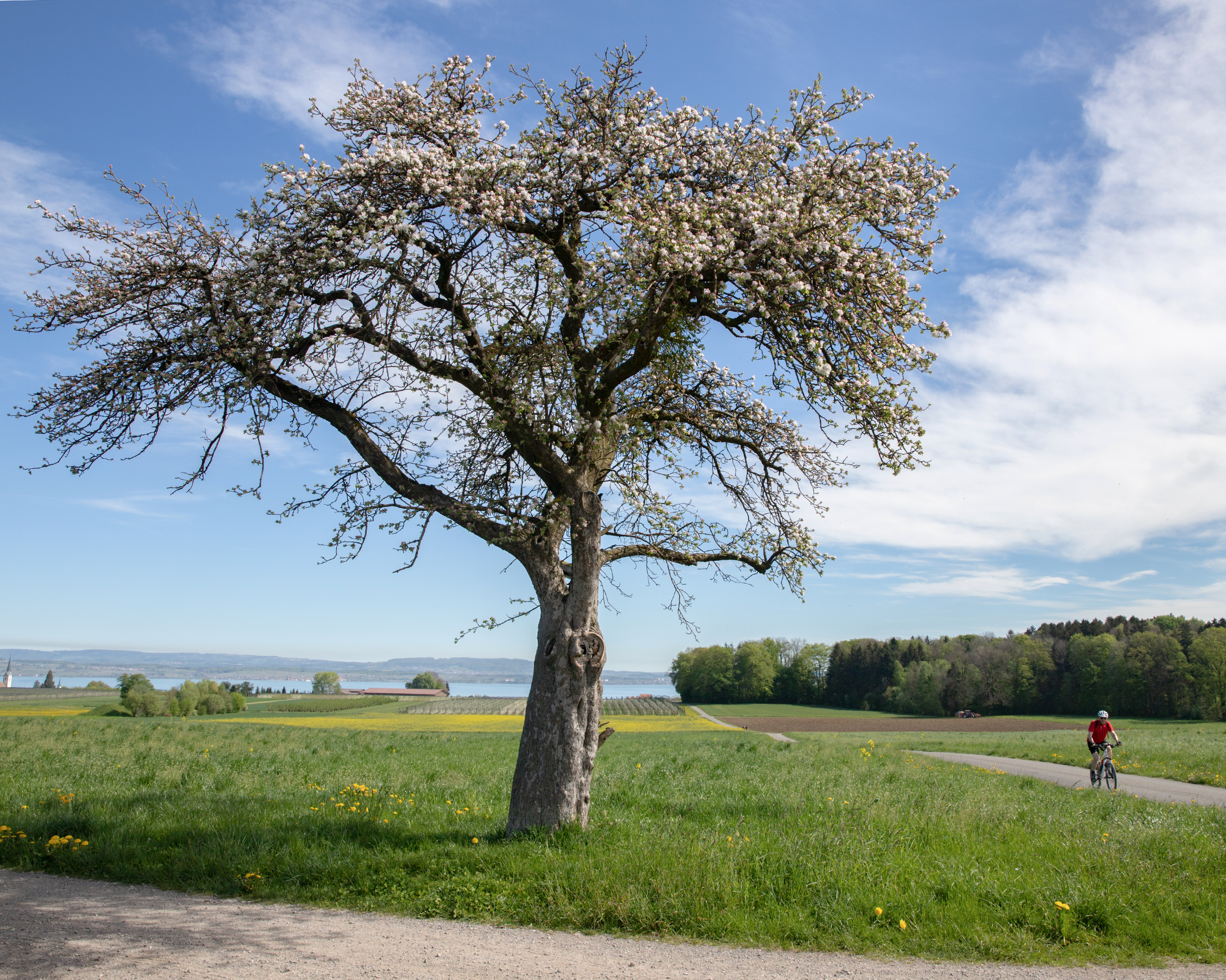 Seerücken-Route
