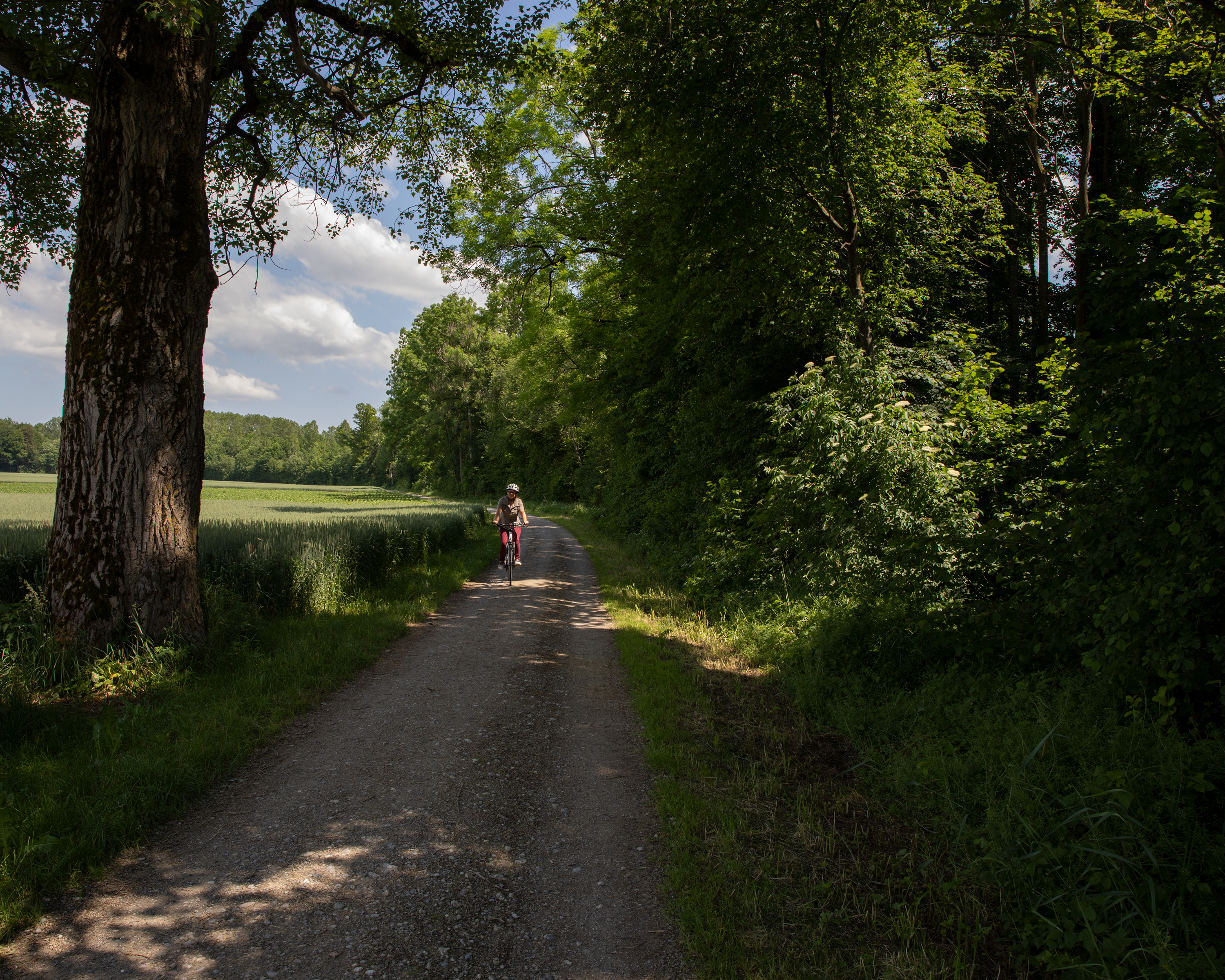 Thur-Route, Etappe 1/3