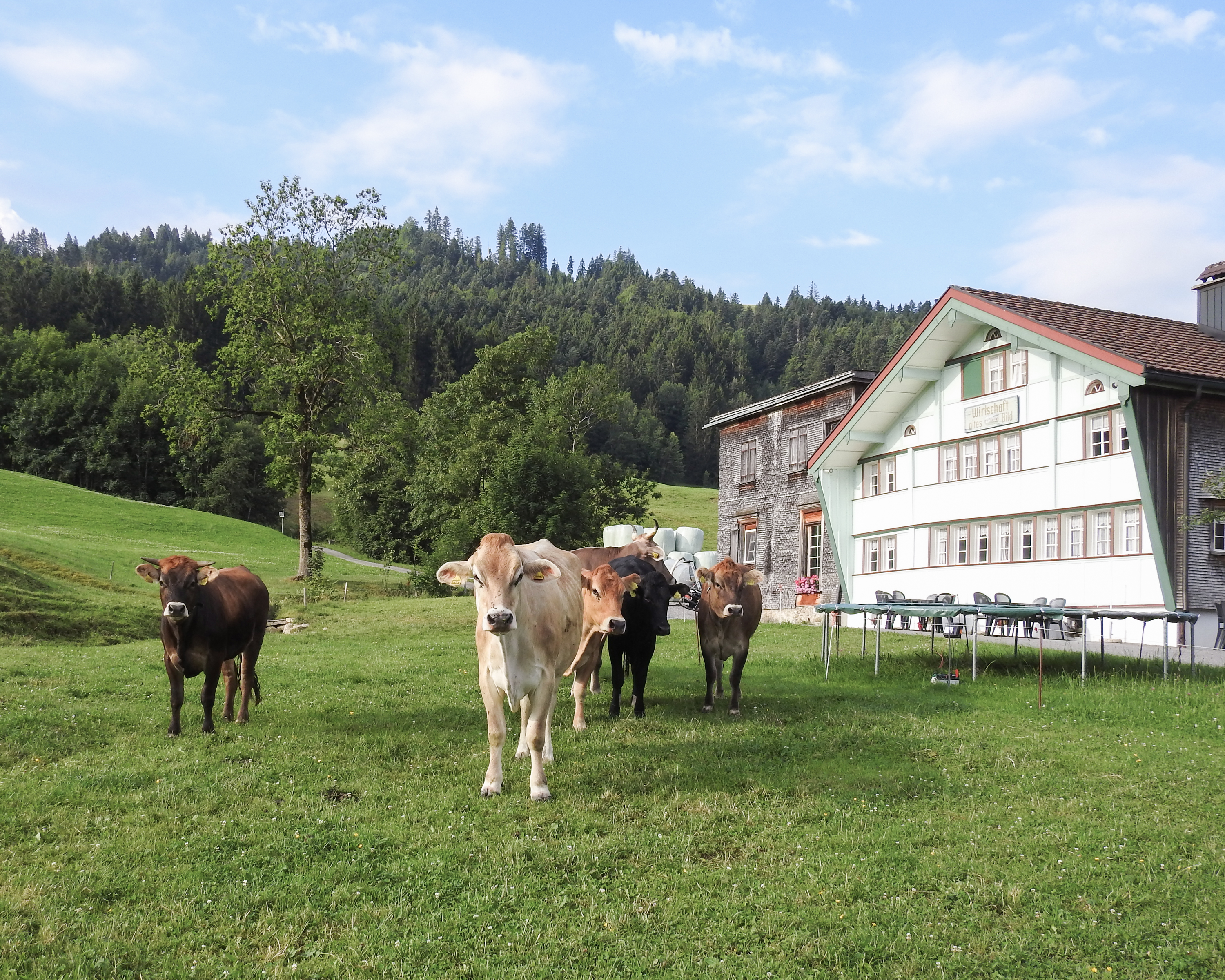 Kulinarische Appenzeller Route