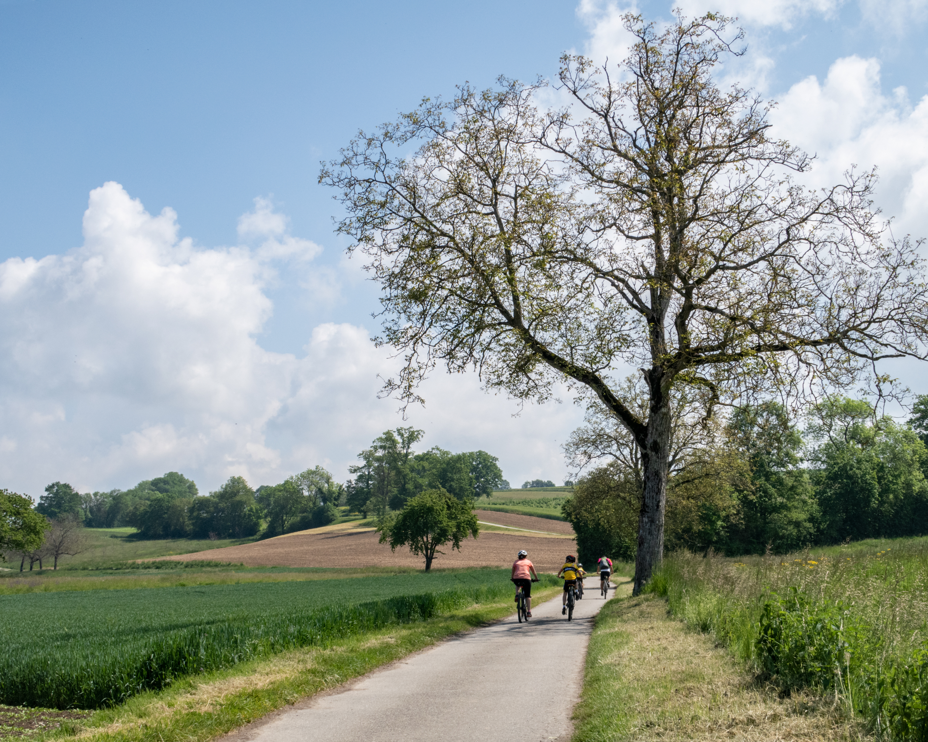 Les collines de la Broye