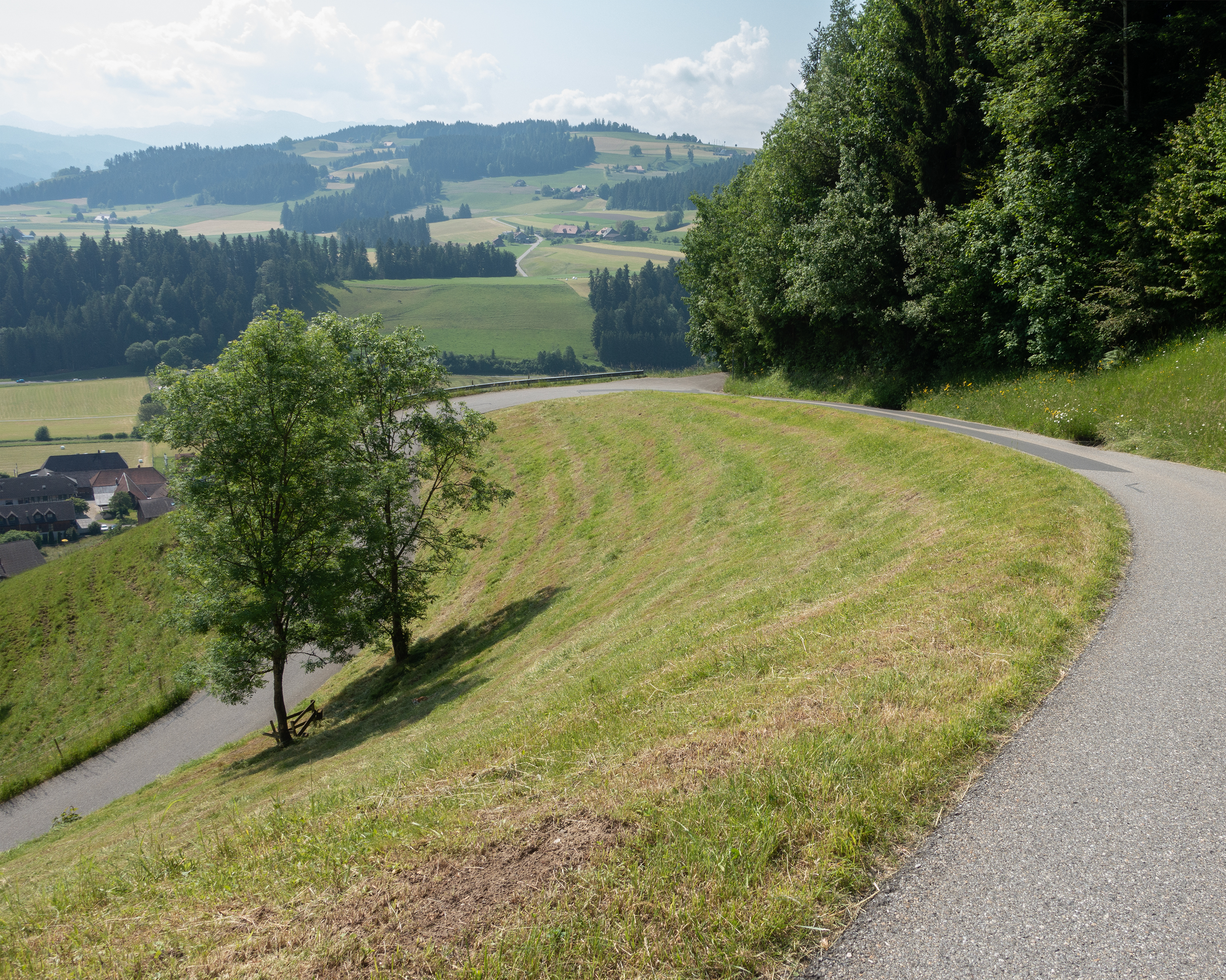 Herzschlaufe Langnau