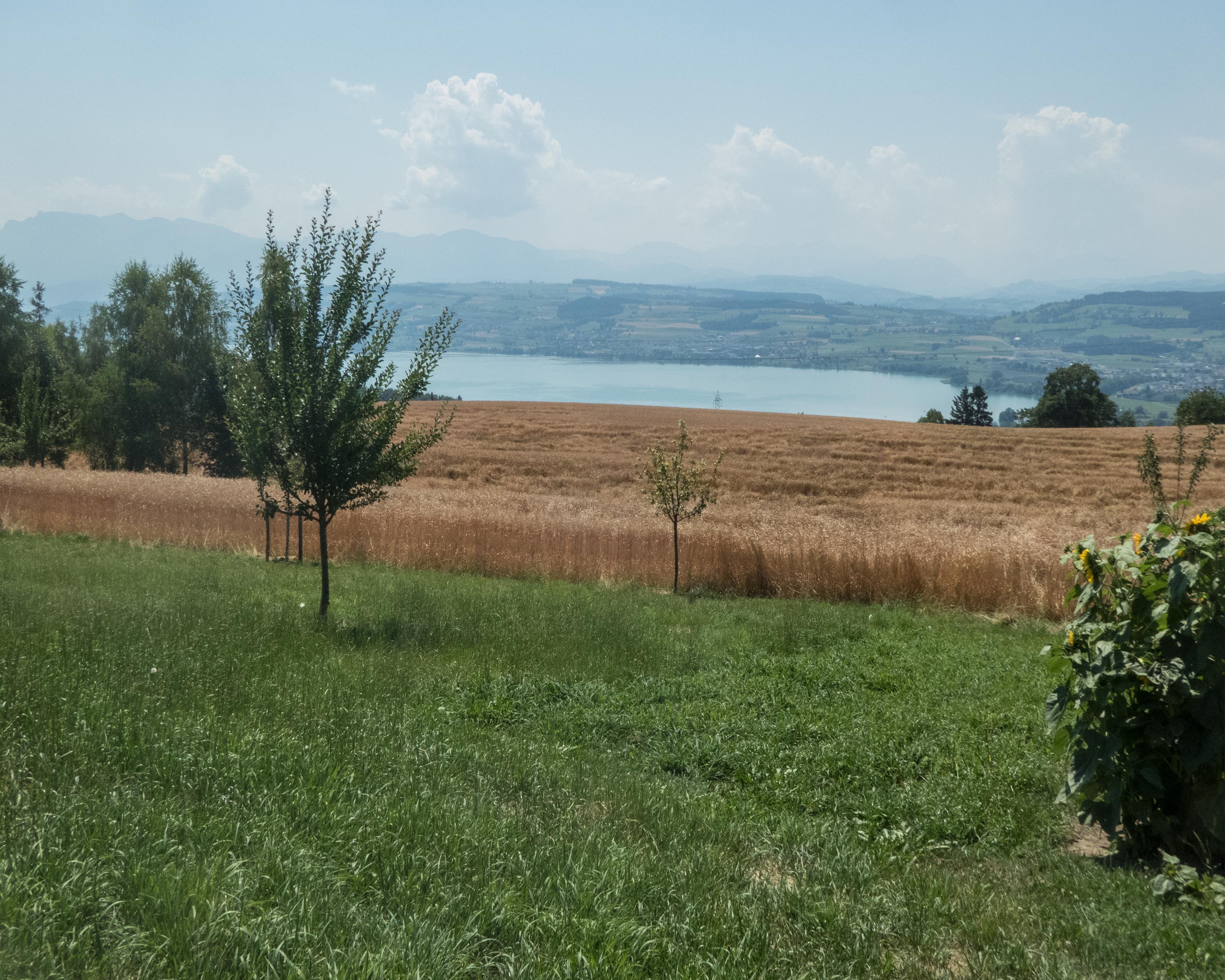 Herzschlaufe Seetal, Stage 2/2
