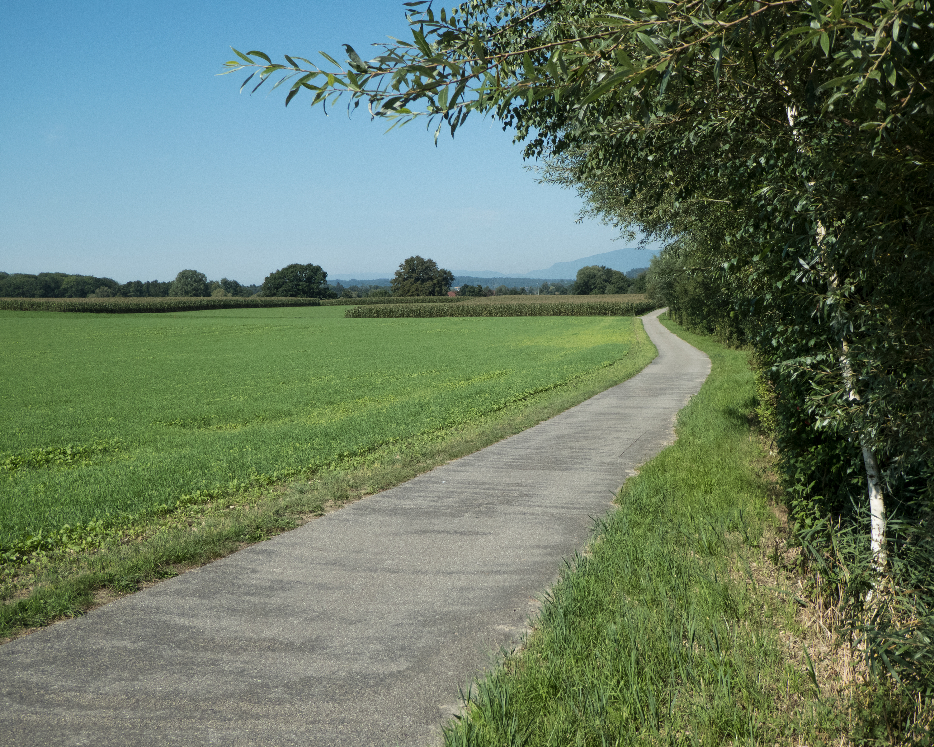 Wasseramt-Route