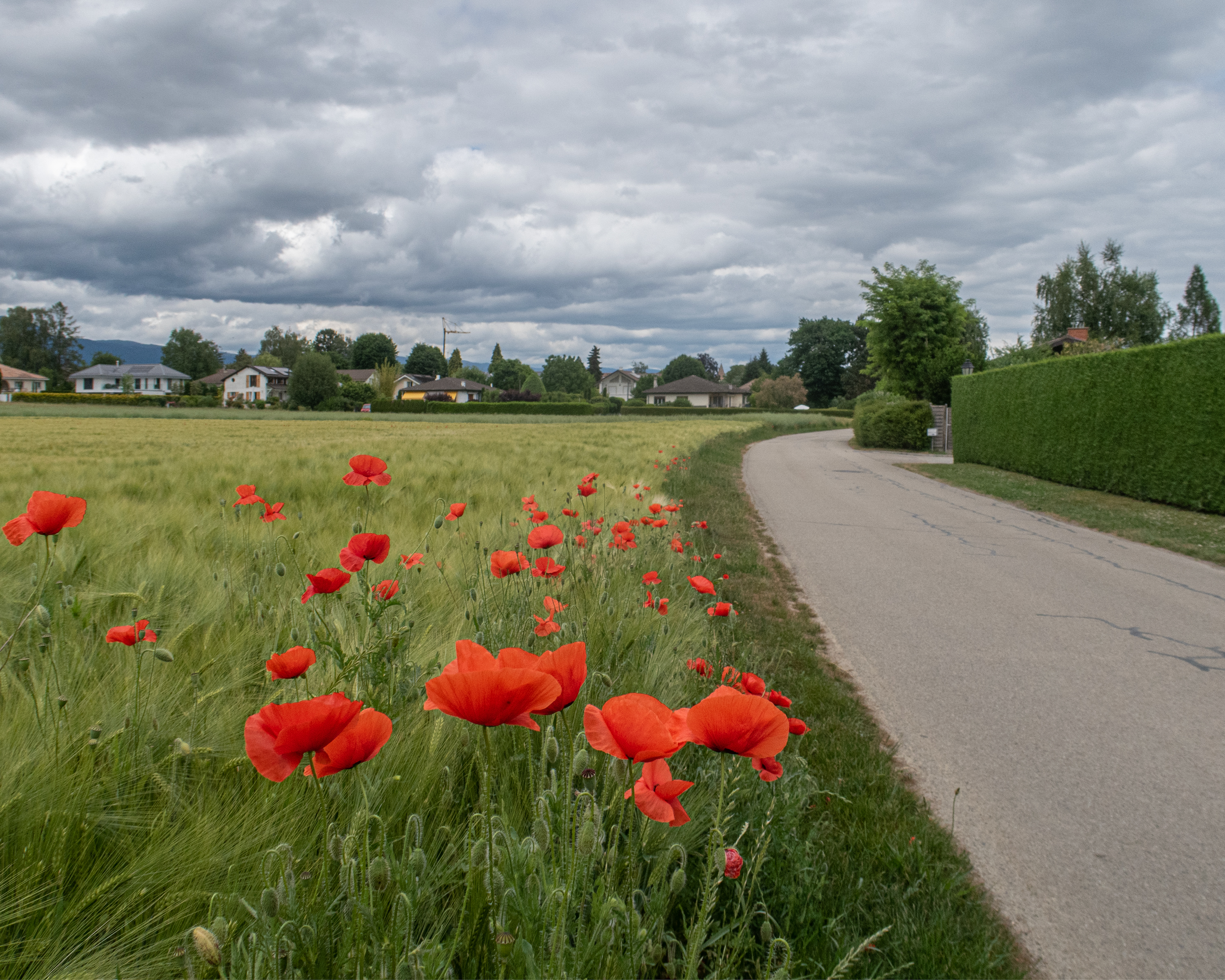 ViaJacobi, Etappe 19/33